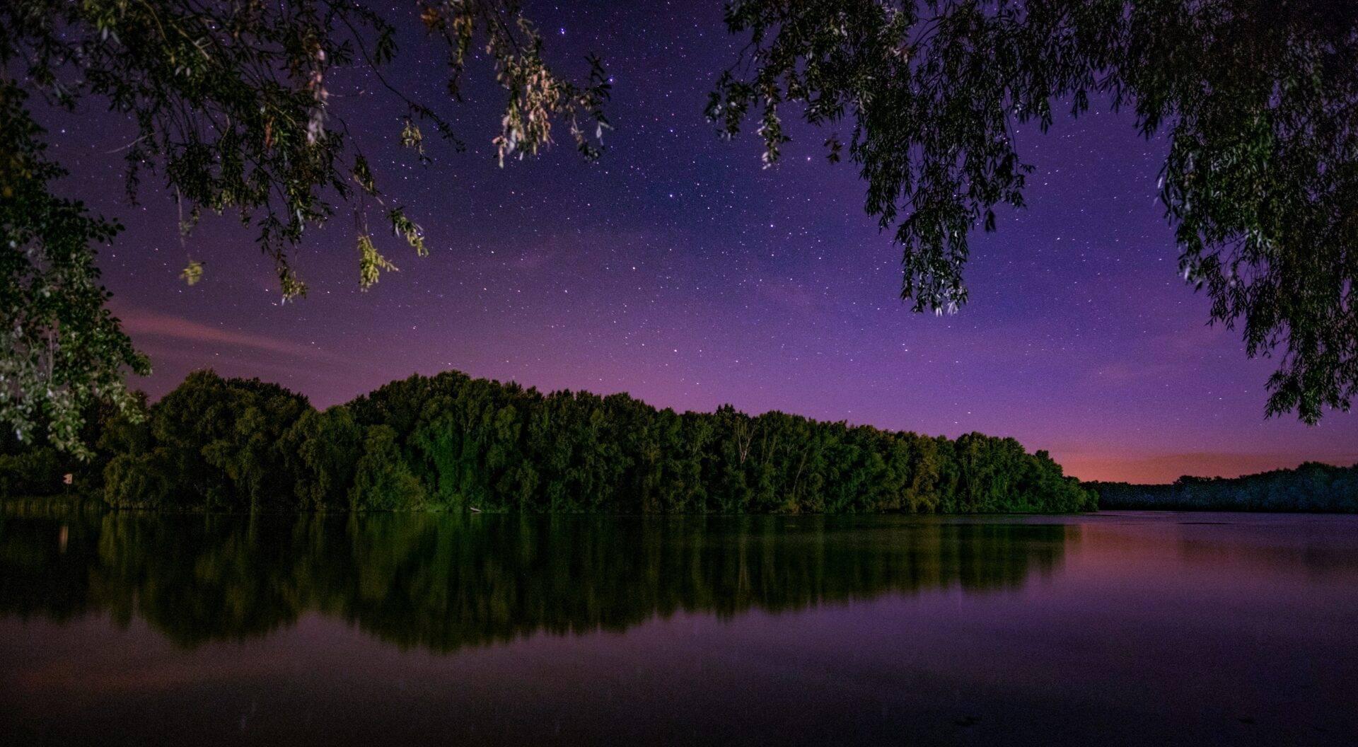 Paisaje nocturno con lago tranquilo, hilera de árboles reflejada en el agua y cielo estrellado de tonos púrpura