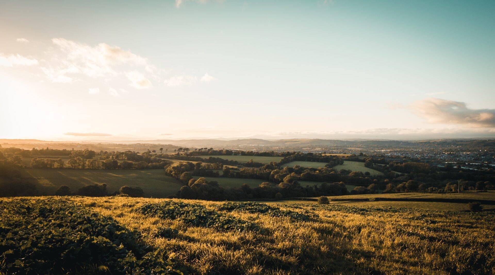 Panoramablick auf ein grünes Tal mit goldenen Feldern, Baumgruppen und fernen Hügeln unter klarem Himmel