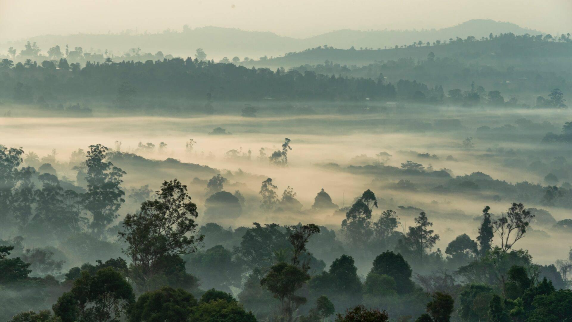 Reisende in Kamerun vor einer tropischen Regenwald-Landschaft
