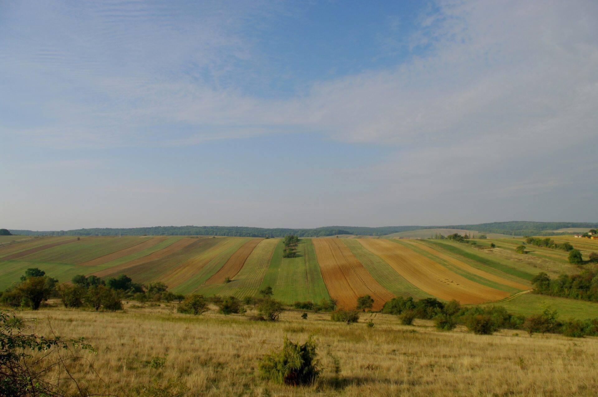 Vasto paisaje agrícola ondulado con campos cultivados y bosques bajo un cielo despejado en una región de llanuras