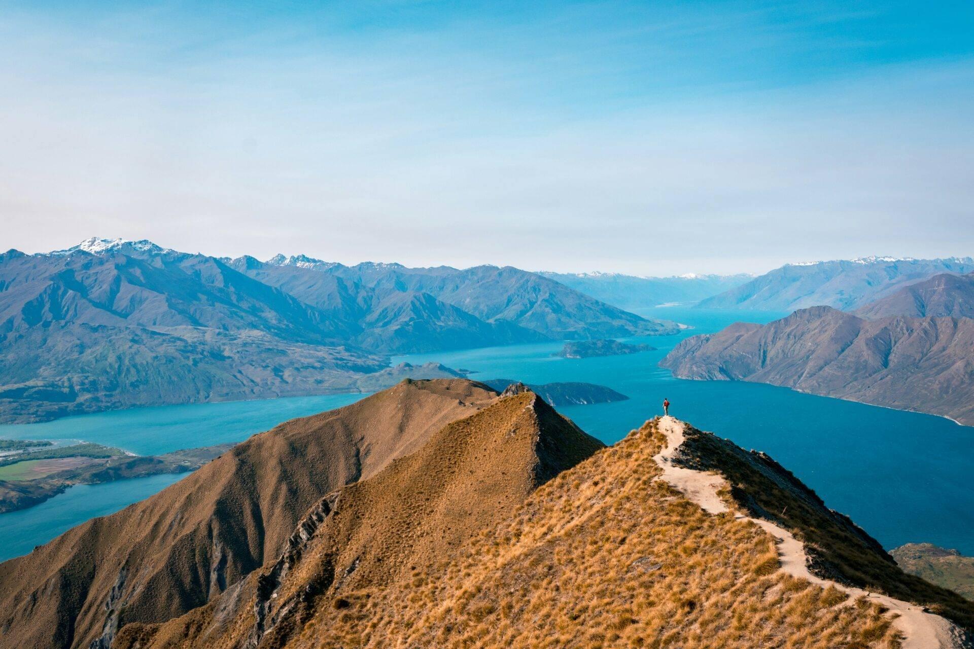 Reisender vor den Fjorden von Milford Sound, Neuseeland