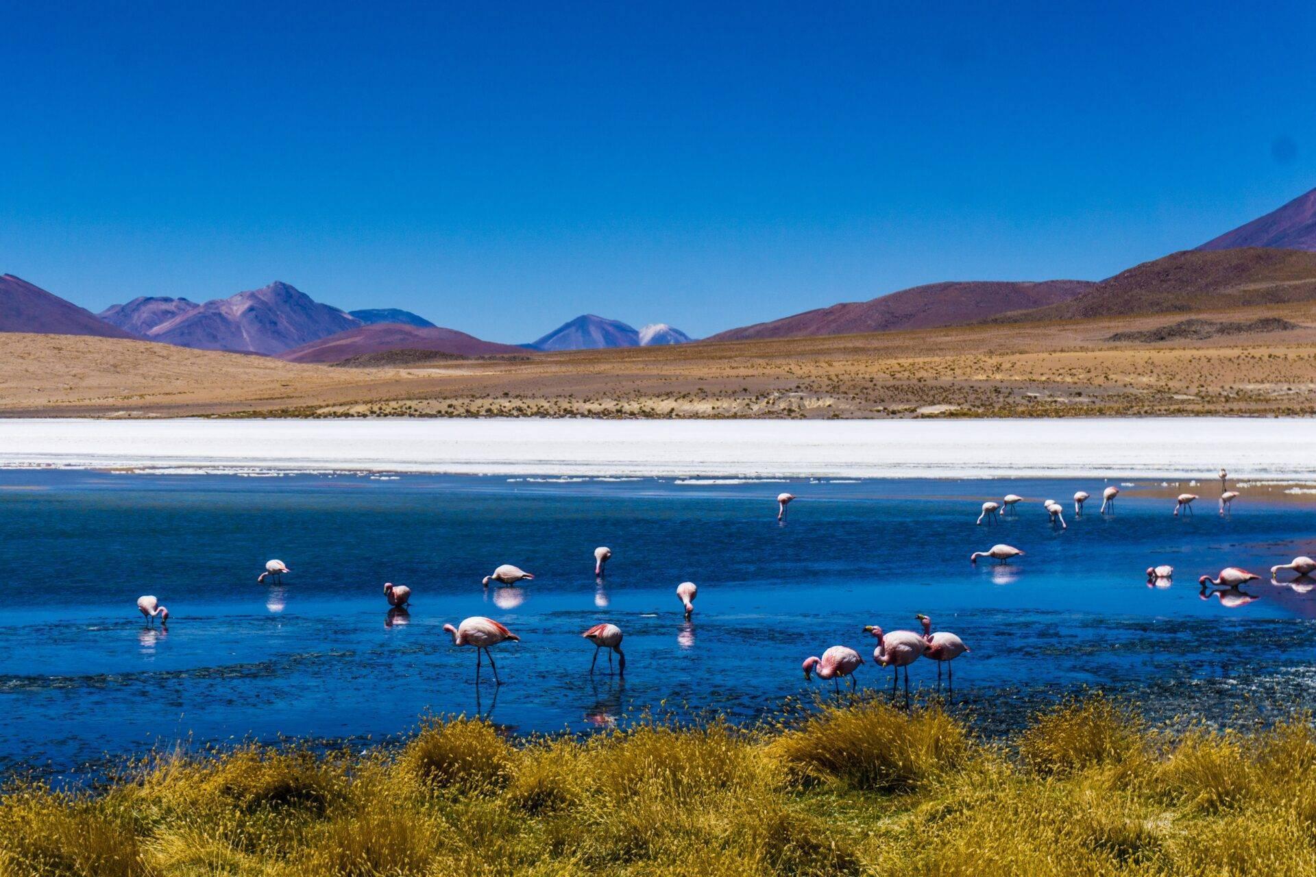 Reisender vor dem Salar de Uyuni in Bolivien, blauer Himmel und Altiplano-Landschaft