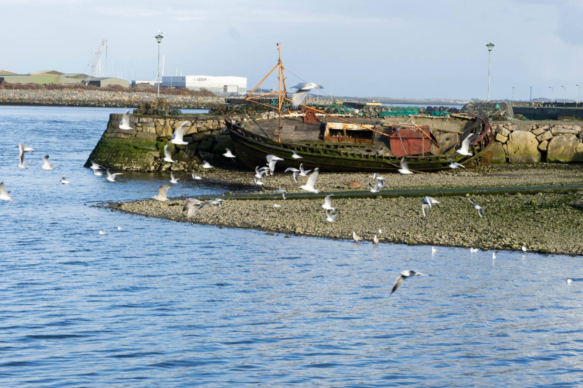 Ein verlassenes Fischerboot liegt auf Küstenfelsen, Möwen fliegen umher, kleiner irischer Hafen
