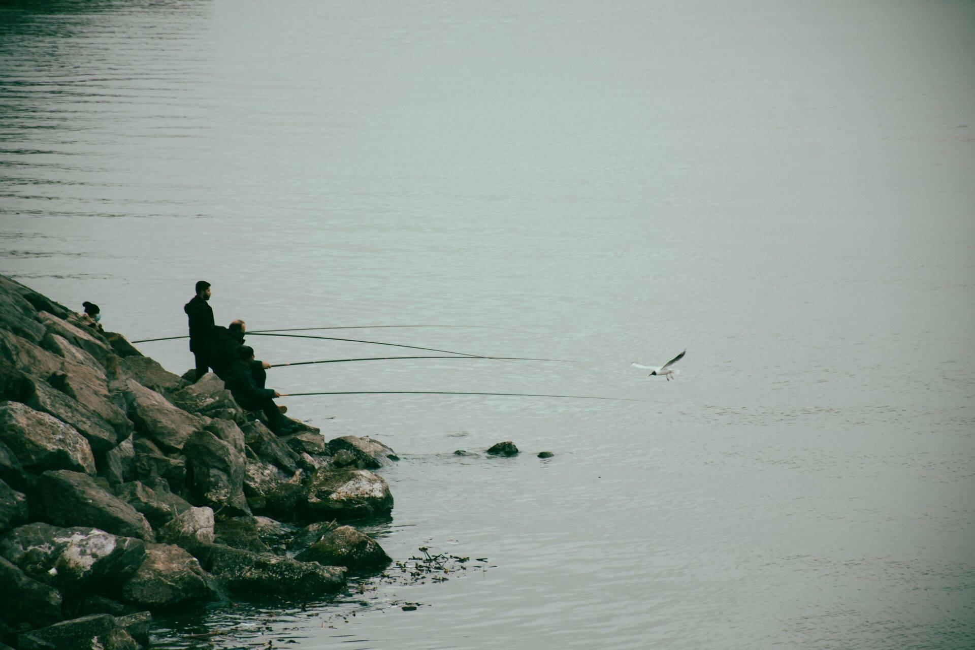 Varias personas pescando sobre rocas a orillas de un lago tranquilo en un ambiente invernal gris