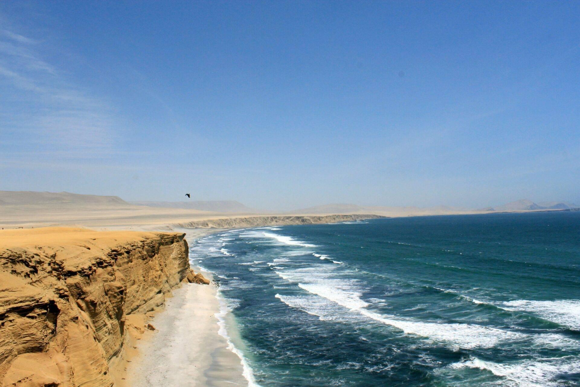 Acantilado desértico que domina una playa de arena blanca con olas turquesas y costa rocosa bajo cielo azul despejado