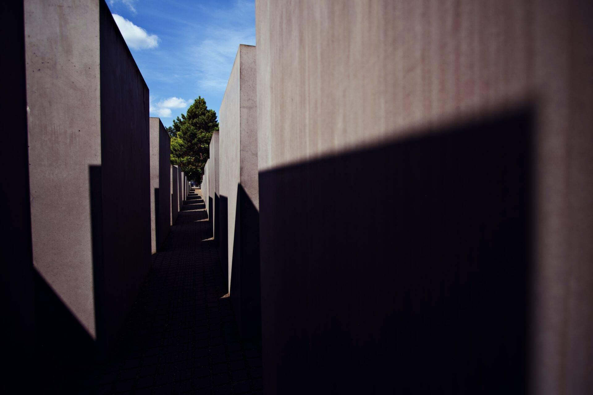 Corridoio di stele grigie di cemento sotto un cielo azzurro con albero e ombre contrastate sullo sfondo
