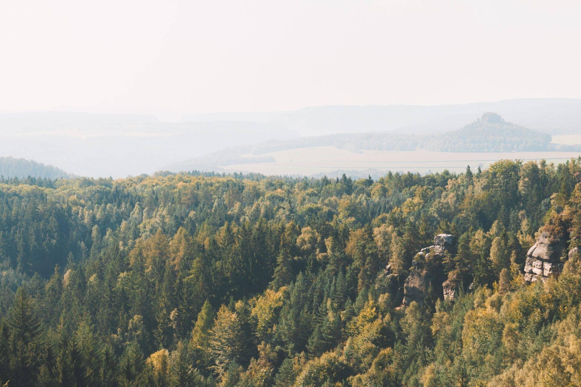 Vasta foresta di conifere in autunno con formazioni rocciose e pianori agricoli sullo sfondo
