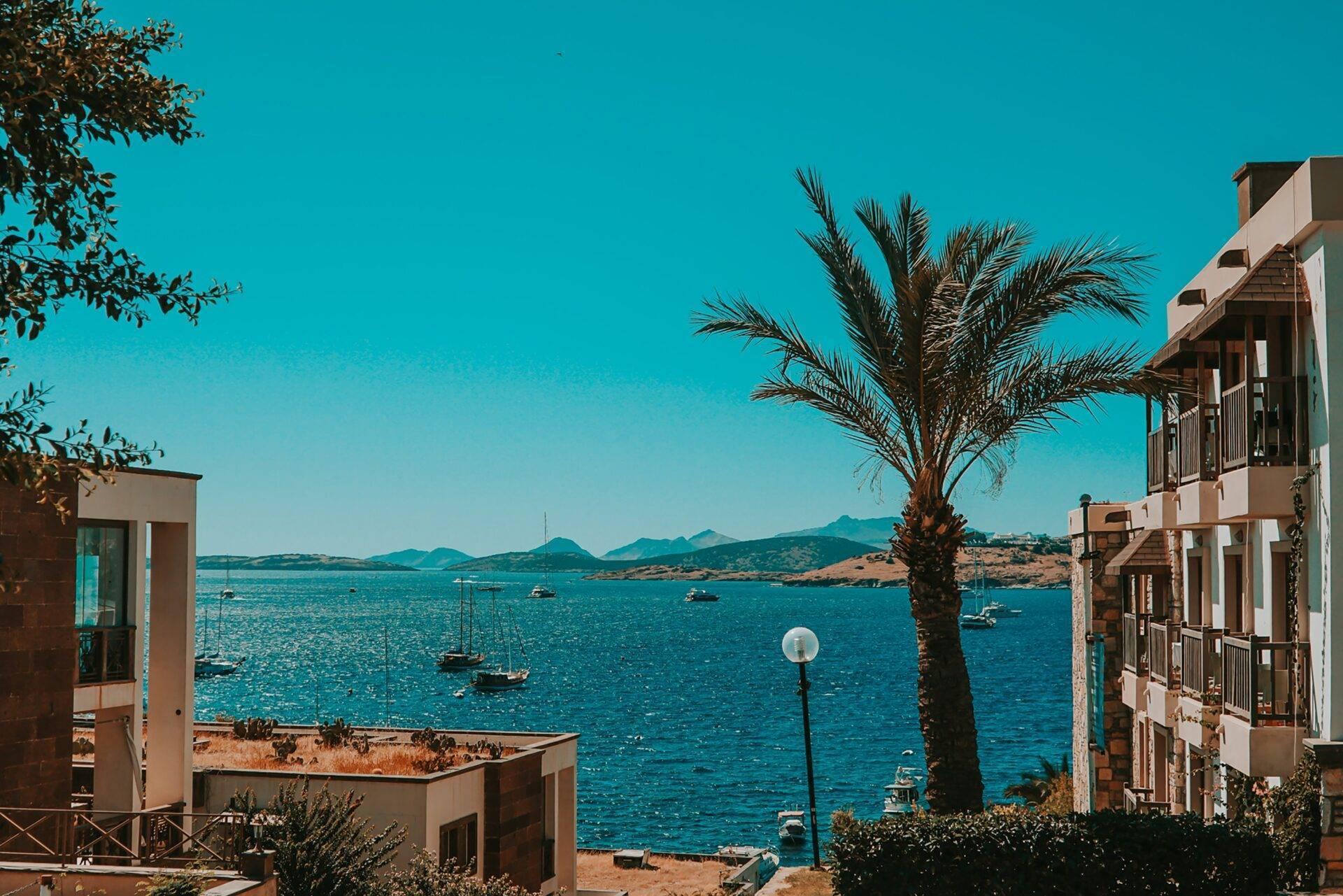 Vista costiera mediterranea con edifici bianchi, palma, barche ormeggiate e montagne sullo sfondo sotto un cielo blu
