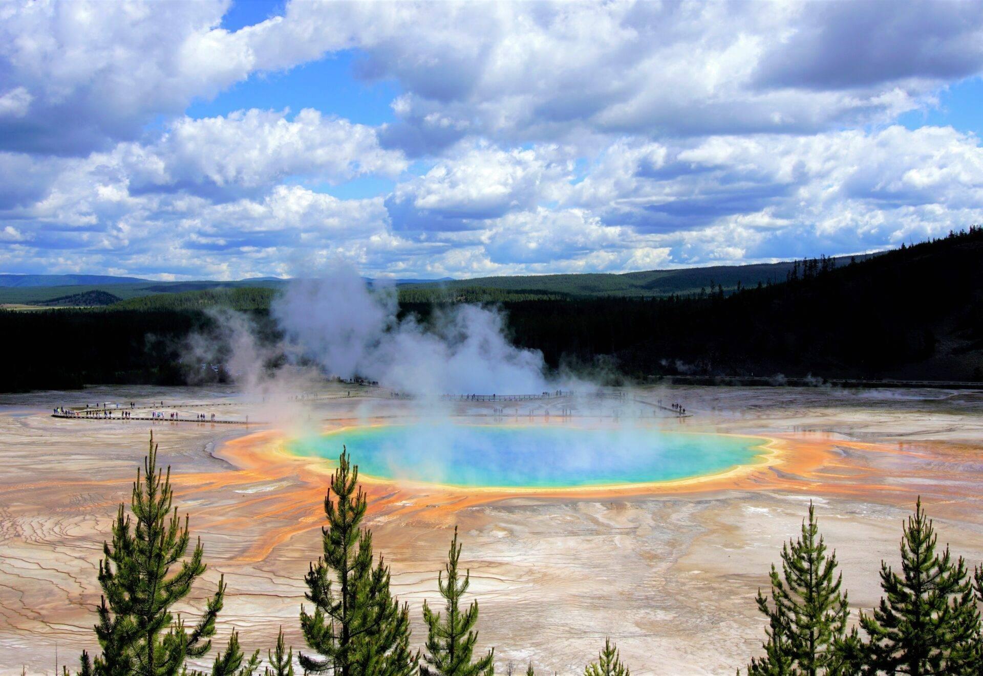 Ein geothermischer Geysir mit türkis-orangefarbenem Wasser, umgeben von Nadelwald unter bewölktem Himmel