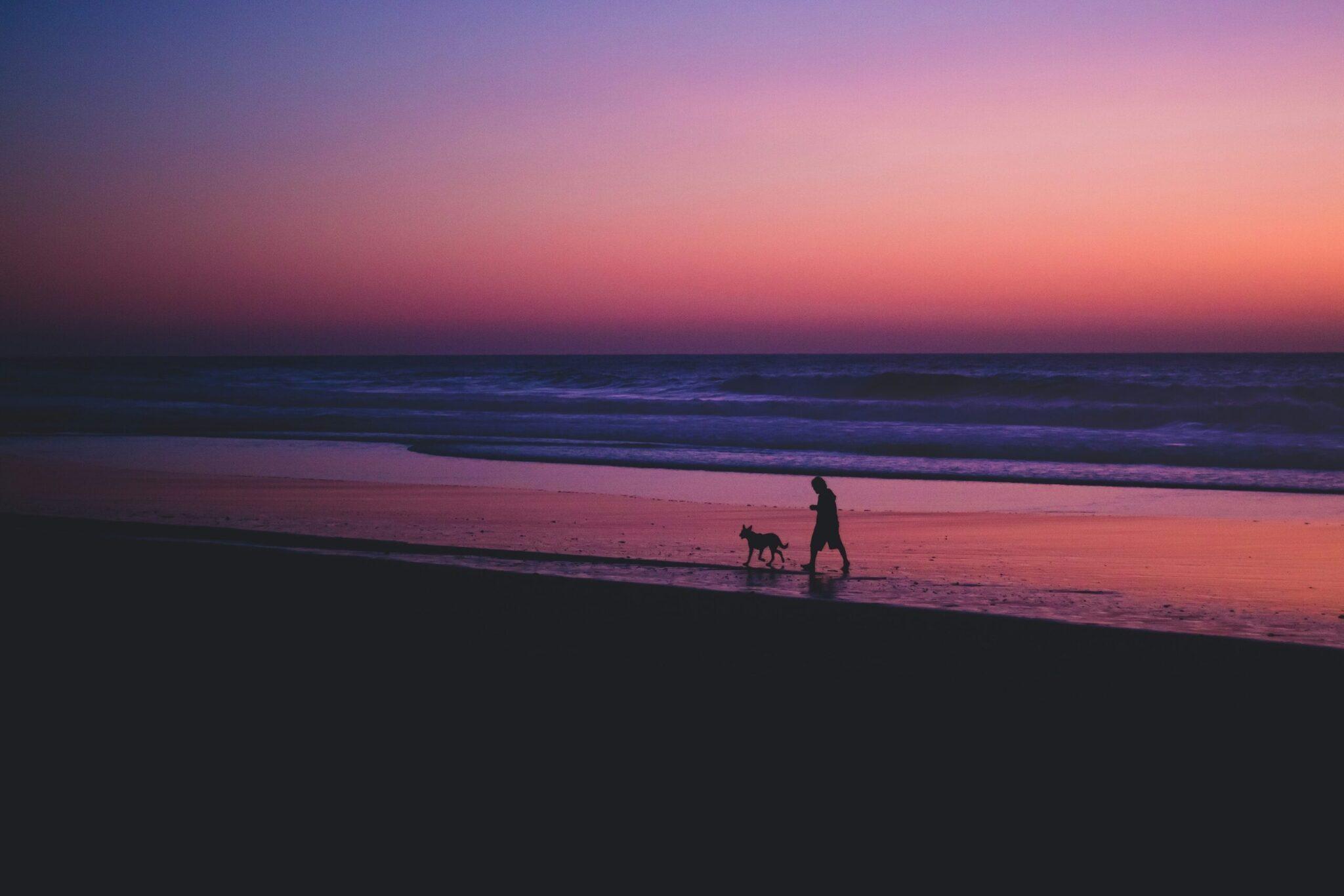 Eine Person und ihr Hund spazieren bei Sonnenuntergang am Wasser entlang, unter einem rosa-violetten Abendhimmel