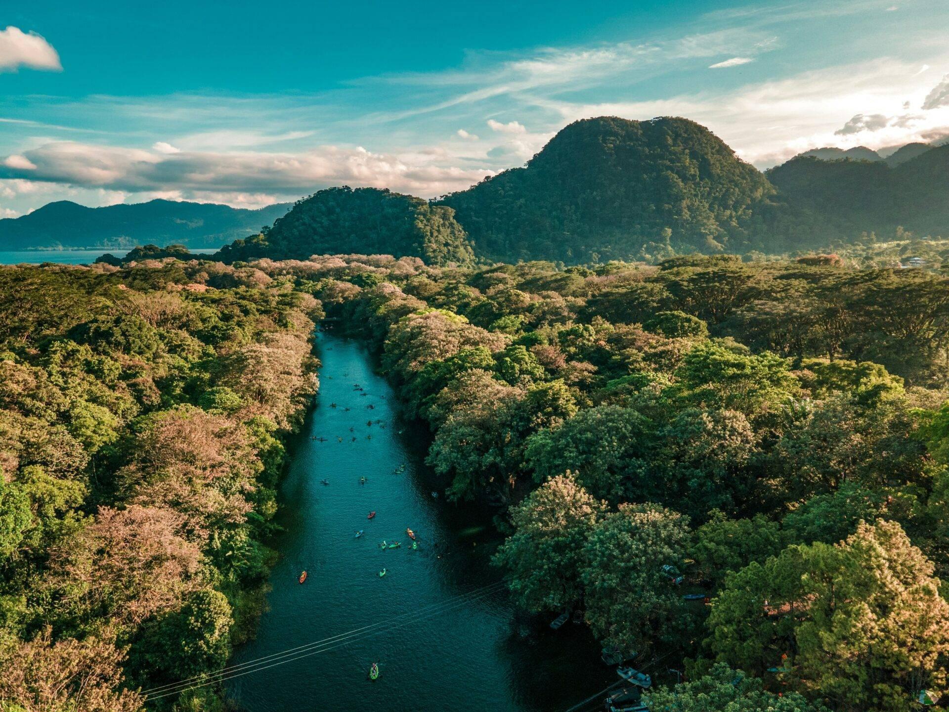Karibikküste von Honduras mit Palmen und türkisblauem Wasser, Reiseziel