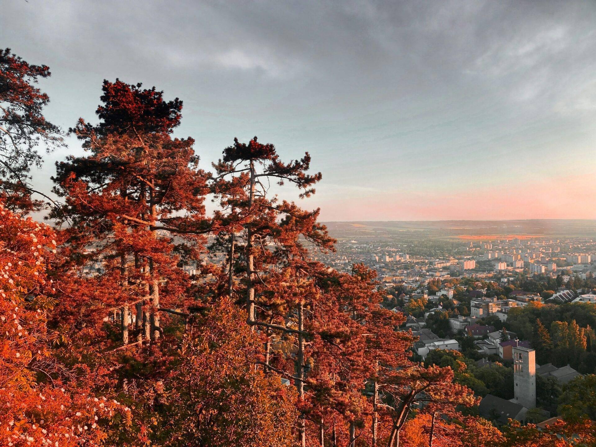 Vista panorámica de una ciudad desde una colina boscosa con follaje rojo otoñal al atardecer