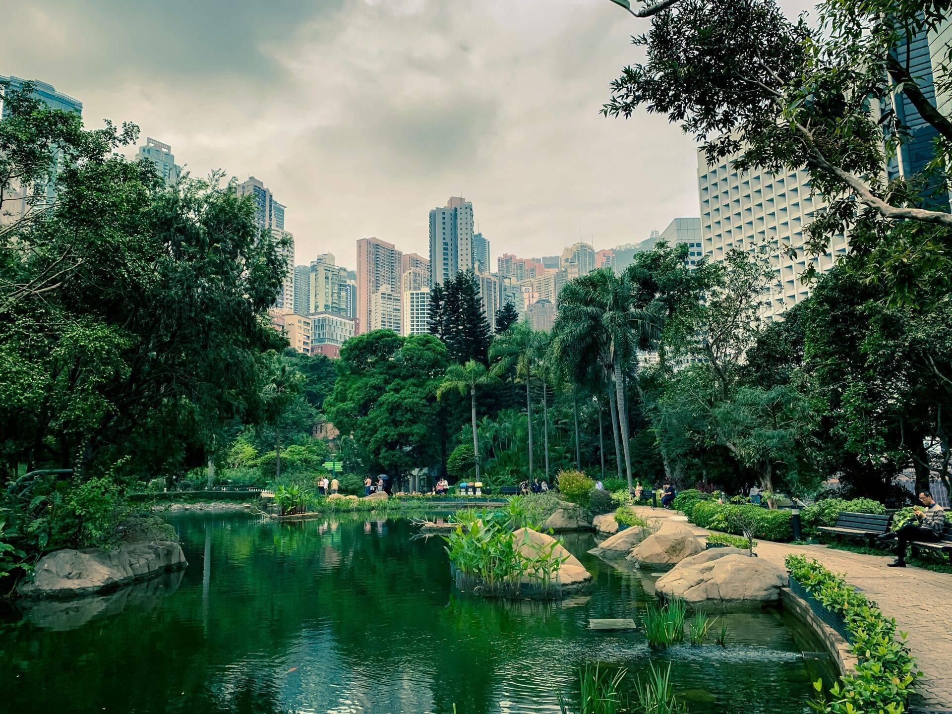 Begrünter Stadtpark mit See, Felsen und Palmen als Kontrast zu modernen Wolkenkratzern im Hintergrund