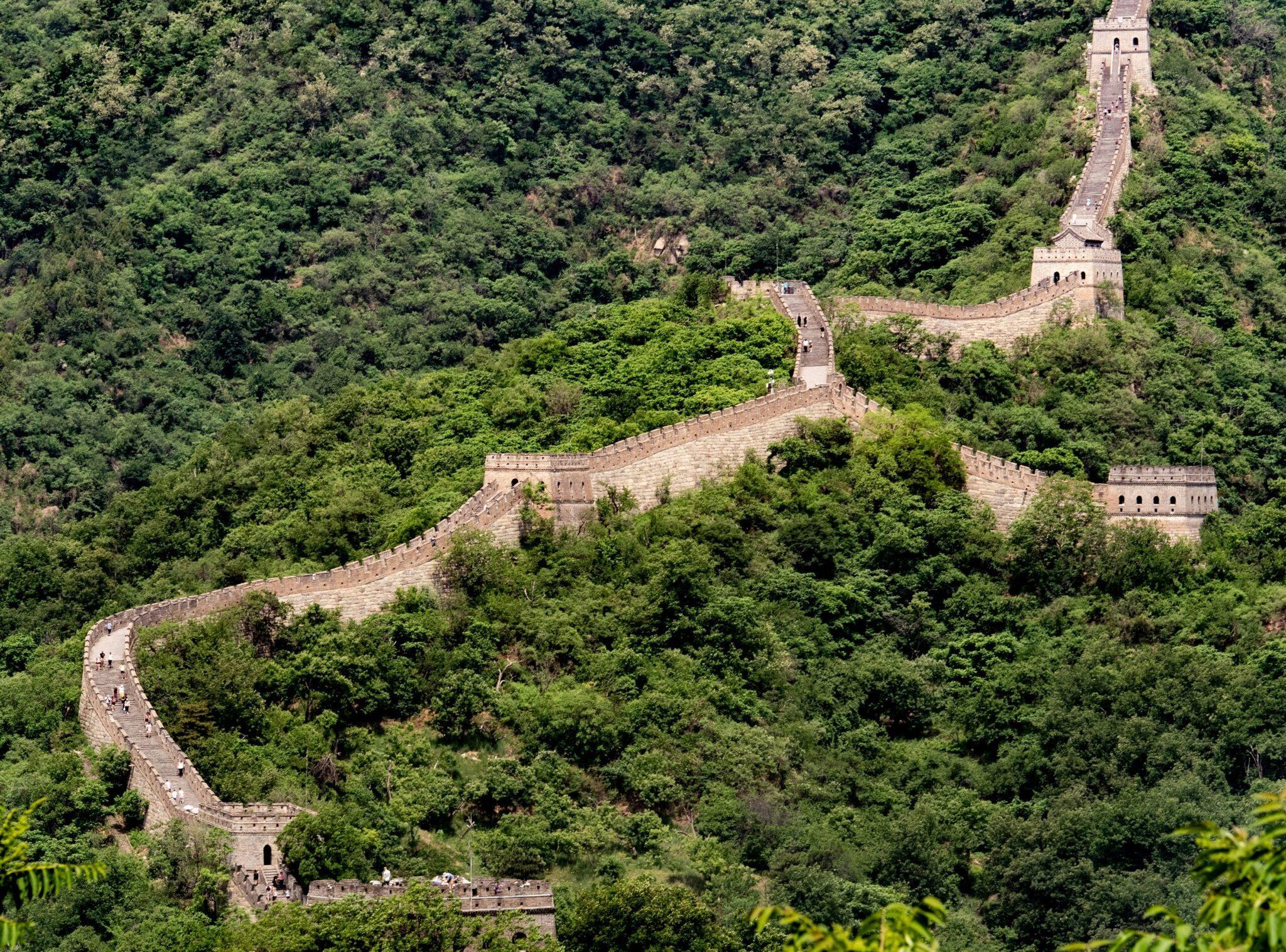 Tramo de muralla de piedra serpenteando entre un bosque espeso con torres de vigilancia y vegetación exuberante