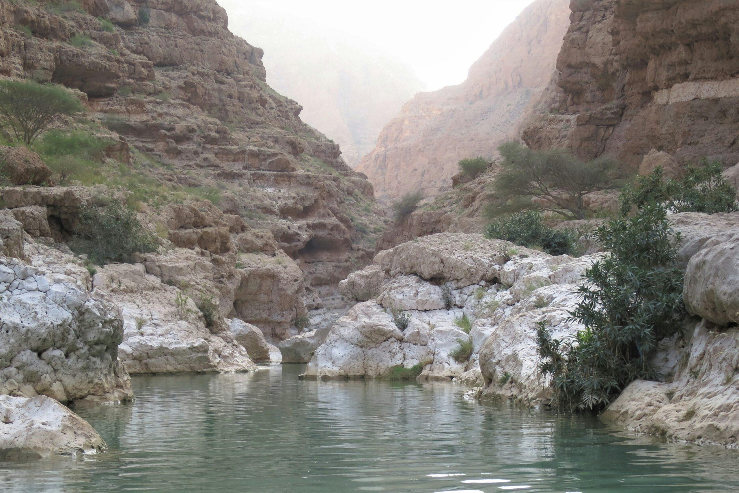 Natürliche türkisfarbene Badebecken des Wadi Shab, umgeben von Kalksteinfelsen und Palmen, Oman