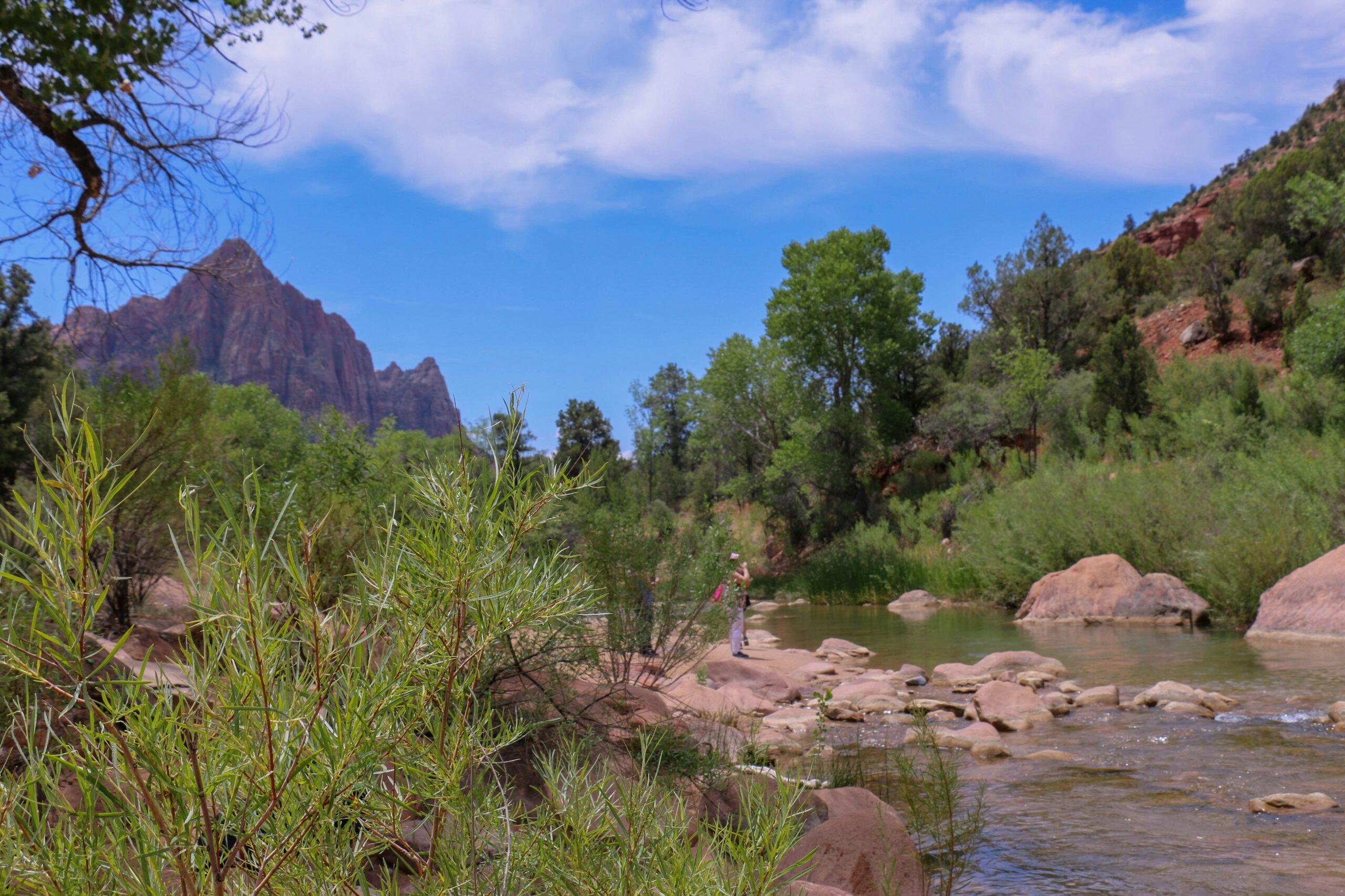 Randonneurs progressant dans les eaux peu profondes de la Virgin River à travers les parois rapprochées des Narrows