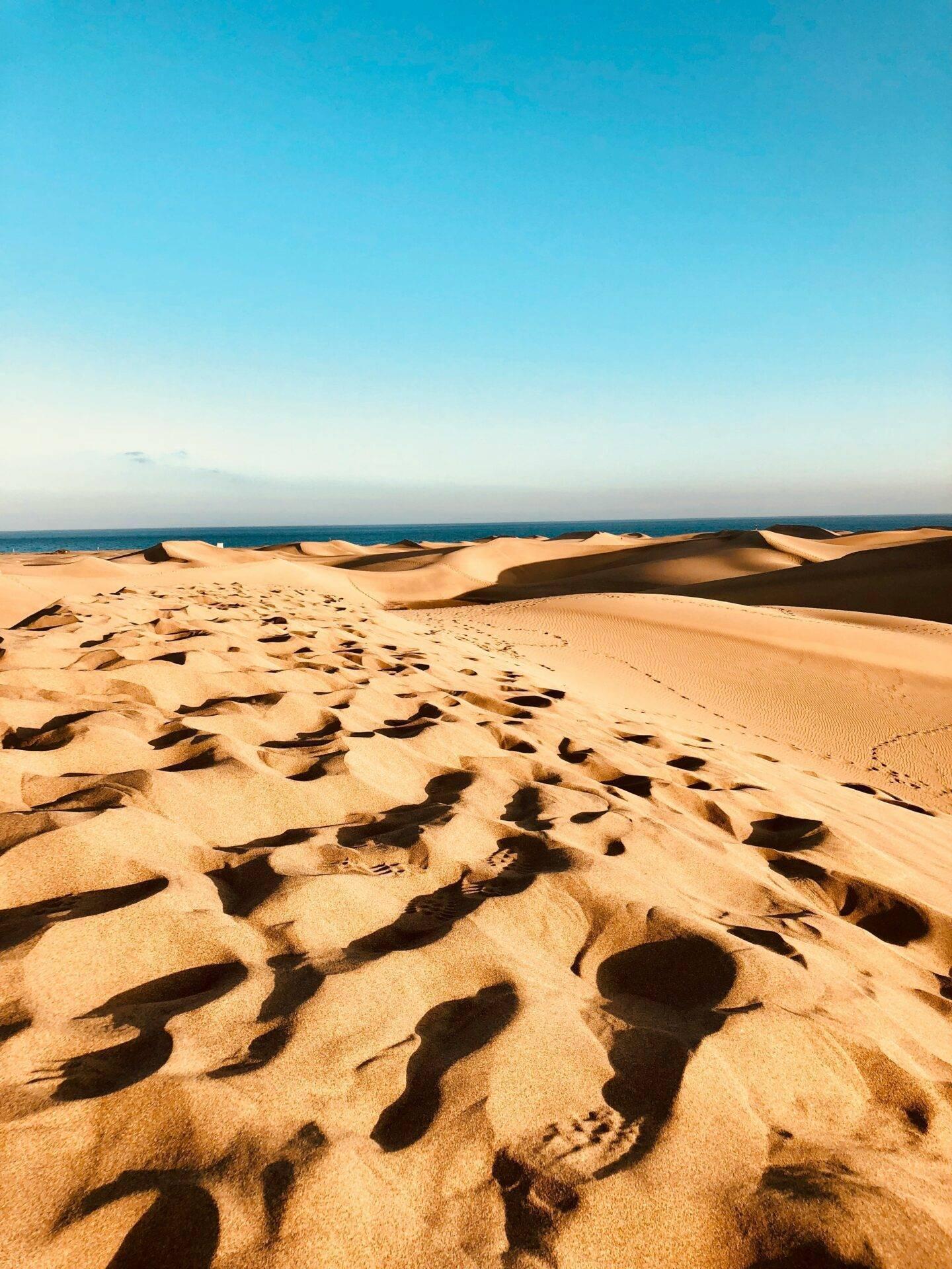 Dunas de arena ondulantes junto al océano bajo un cielo azul despejado, con sombras marcadas en el suelo