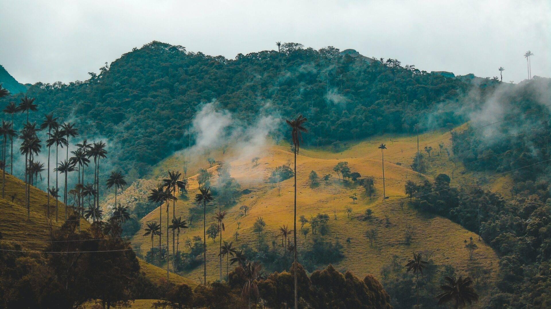 Paysage d'Amérique latine, cordillère des Andes et nature sauvage