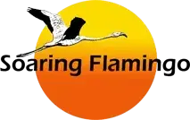 Flamants roses au bord d'un lac dans le cratère Empakaai en Tanzanie, source d'inspiration de l'agence Soaring Flamingo