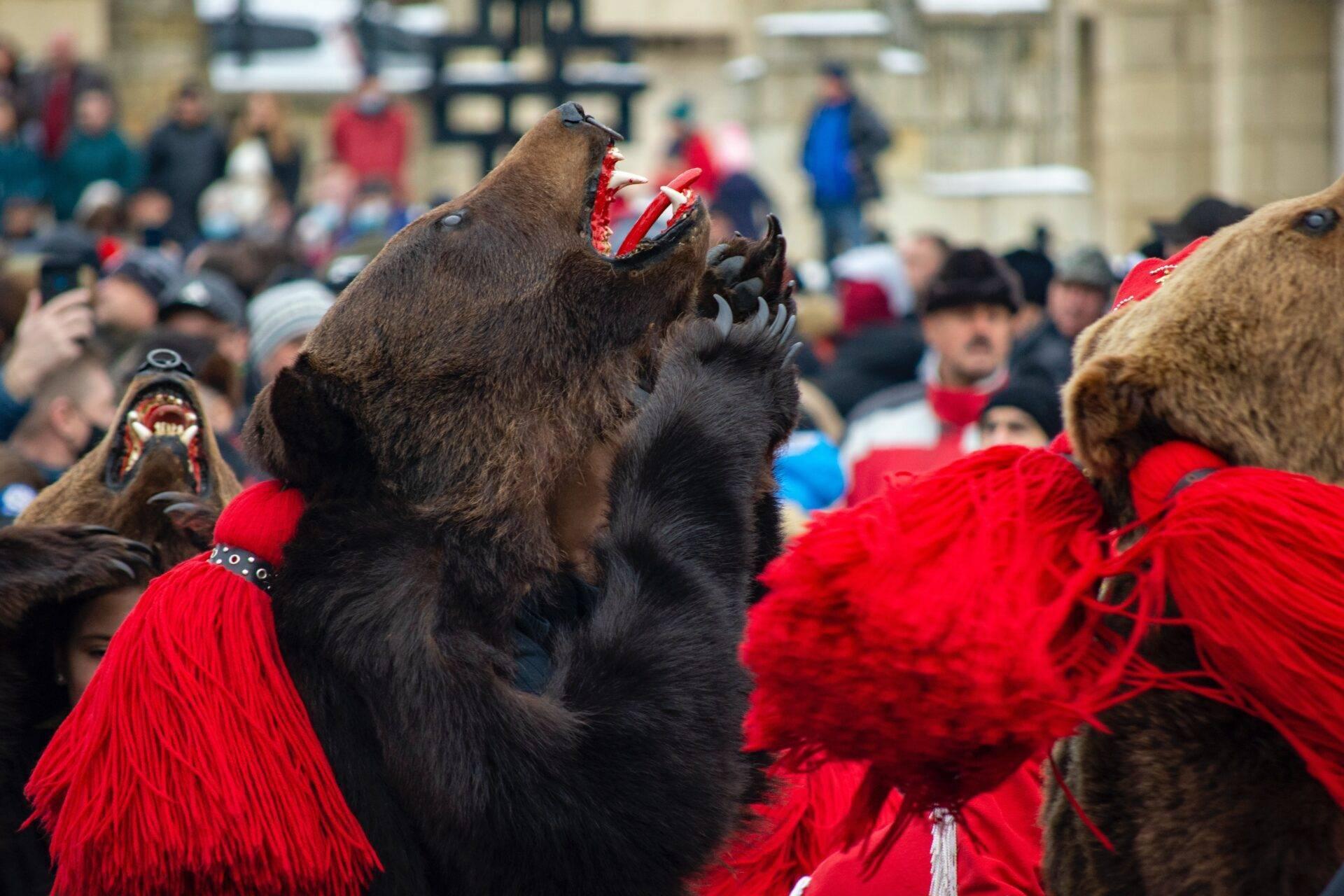 Bailarines con traje de oso recorriendo las calles de un pueblo rumano para Año Nuevo, rito precristiano para ahuyentar los malos espíritus