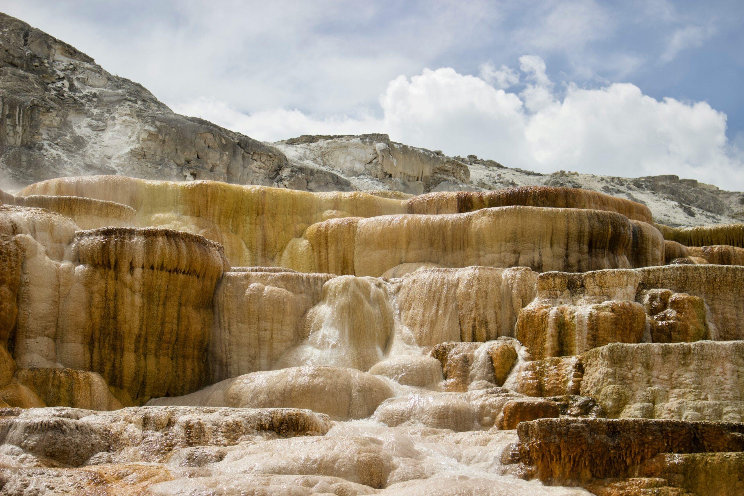 Weite Wildnis und Lodgepole-Pinienwälder im Yellowstone Nationalpark aus der Vogelperspektive