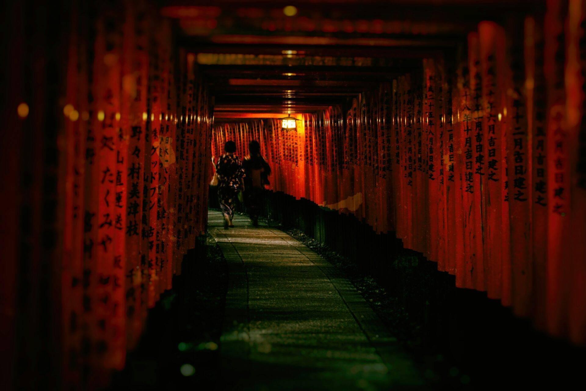 Tunnel aus roten Torii-Toren, nachts beleuchtet, mit Besuchern, die durch einen Weg in Japan schreiten