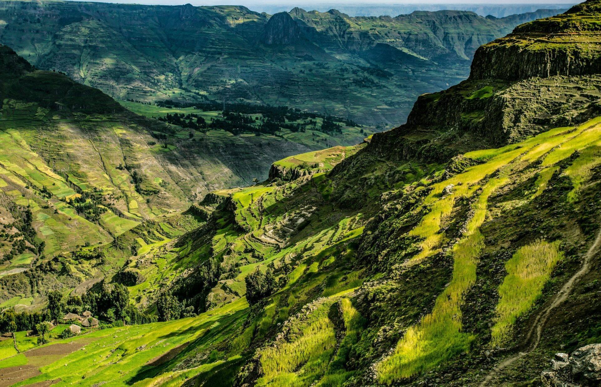 Lush green mountain valley with agricultural terraces, sheer cliffs and scattered villages in the Ethiopian highlands