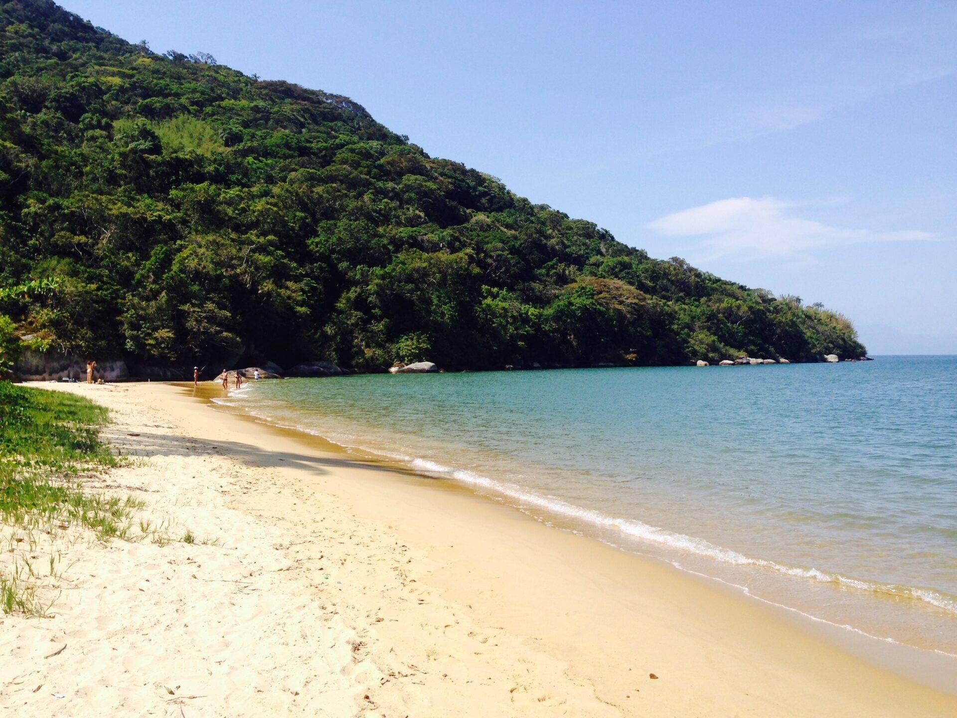 Una spiaggia di sabbia bianca bordata da una foresta tropicale fitta con acque turchesi cristalline