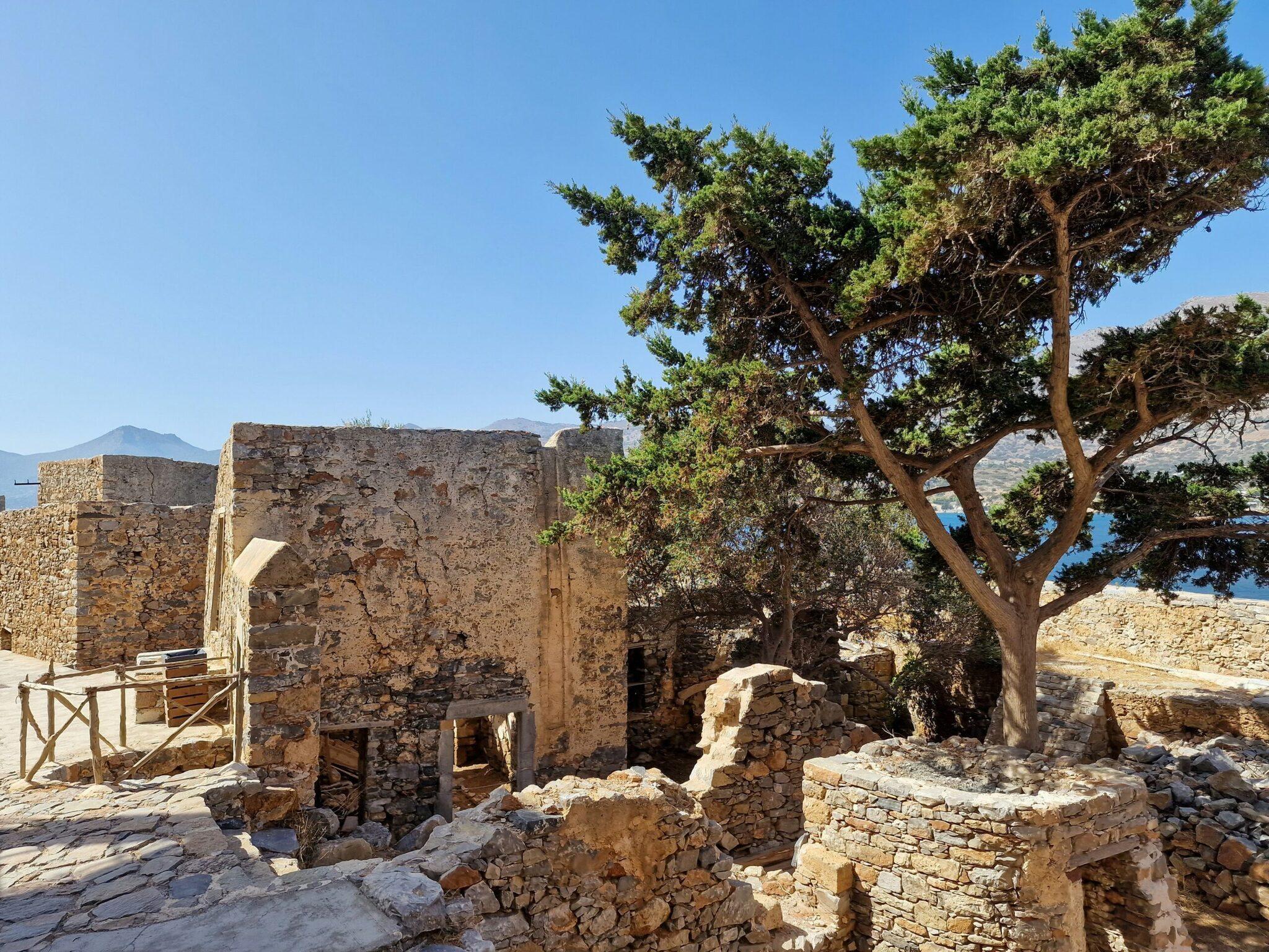 Rovine di pietra con un grande albero mediterraneo, mare blu sullo sfondo, sito archeologico costiero