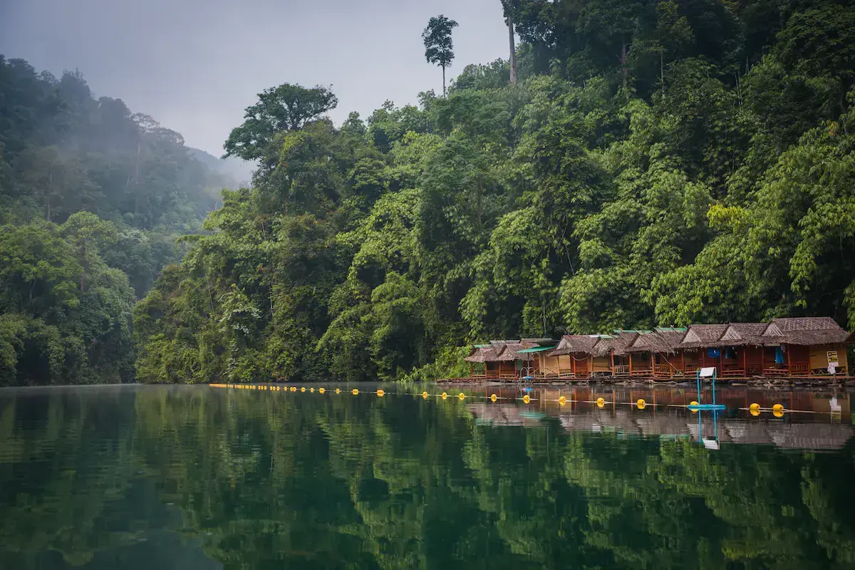 Bungalós de madera junto a un lago tranquilo rodeado de bosque tropical denso y verde