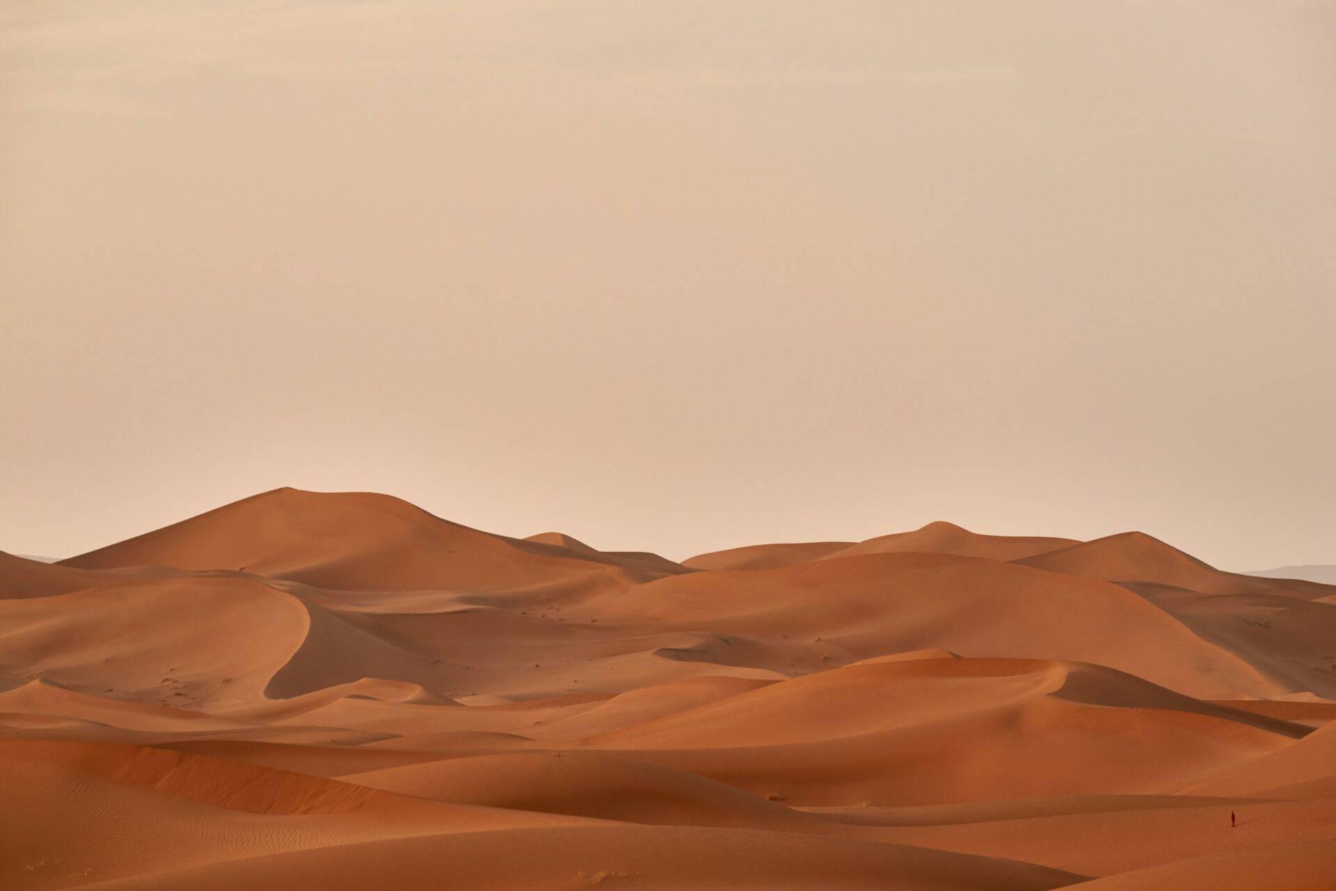 Dunas de arena ondulantes con crestas y sombras bajo un cielo despejado