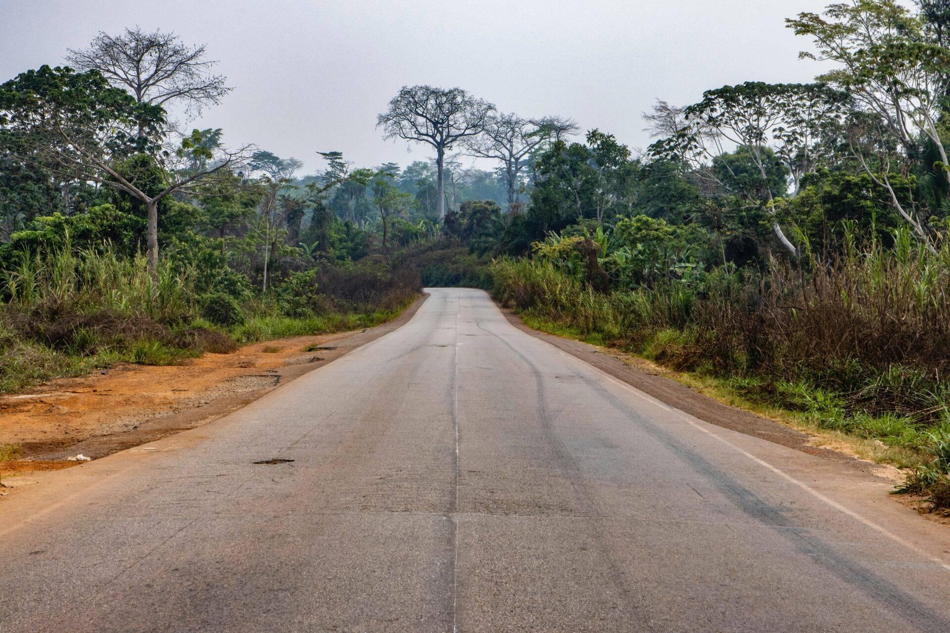 Una carretera asfaltada y recta atravesando un denso bosque tropical con árboles enormes y vegetación exuberante