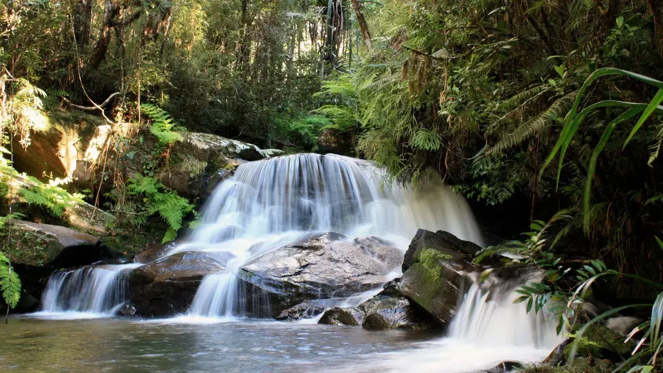 Una cascata a terrazza in una lussureggiante foresta tropicale circondata da rocce muschiate e densa vegetazione