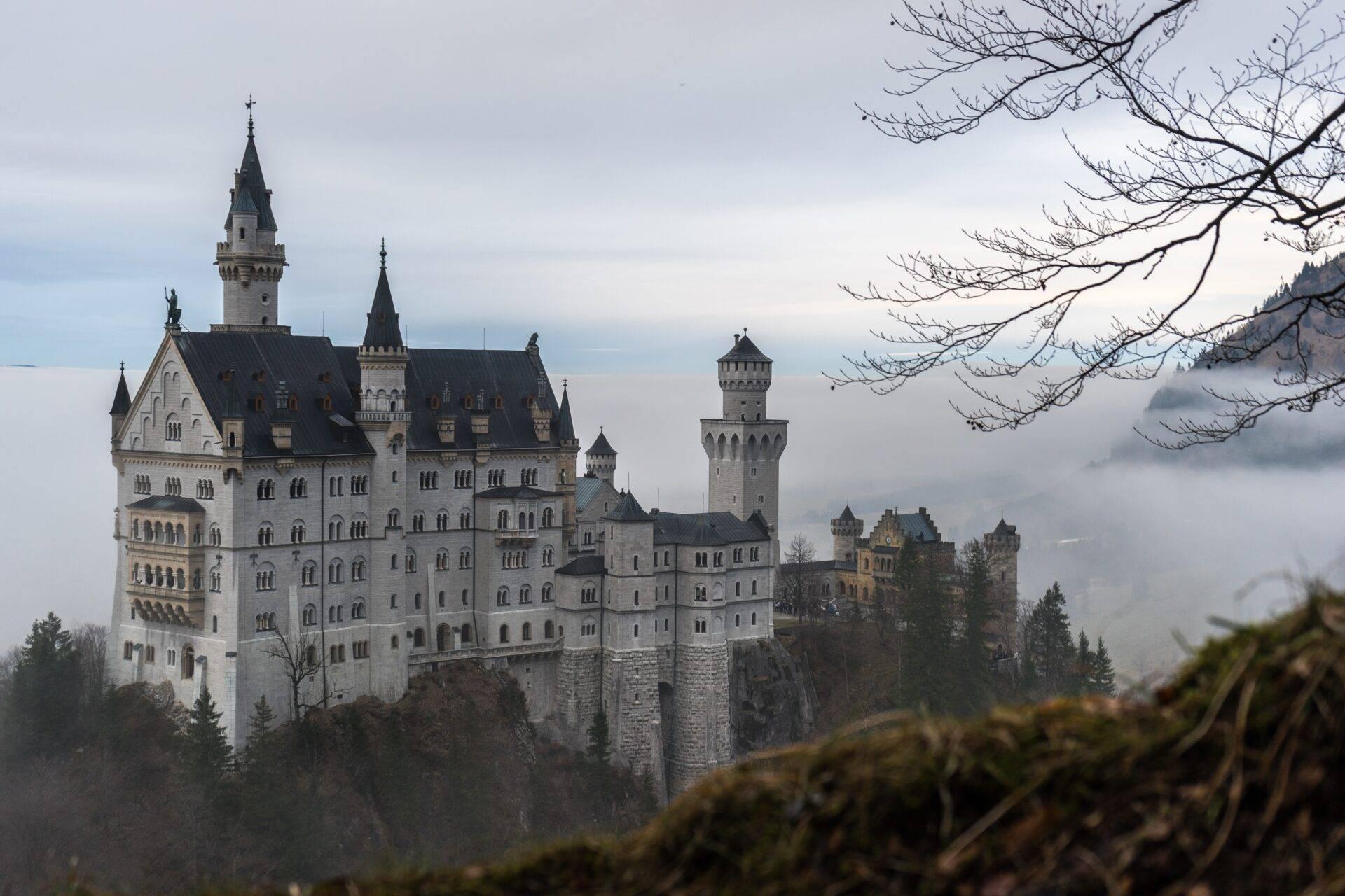 Ein majestätisches weißes Schloss mit spitzen Türmen, das auf einem bewaldeten Hügel im Nebel thront