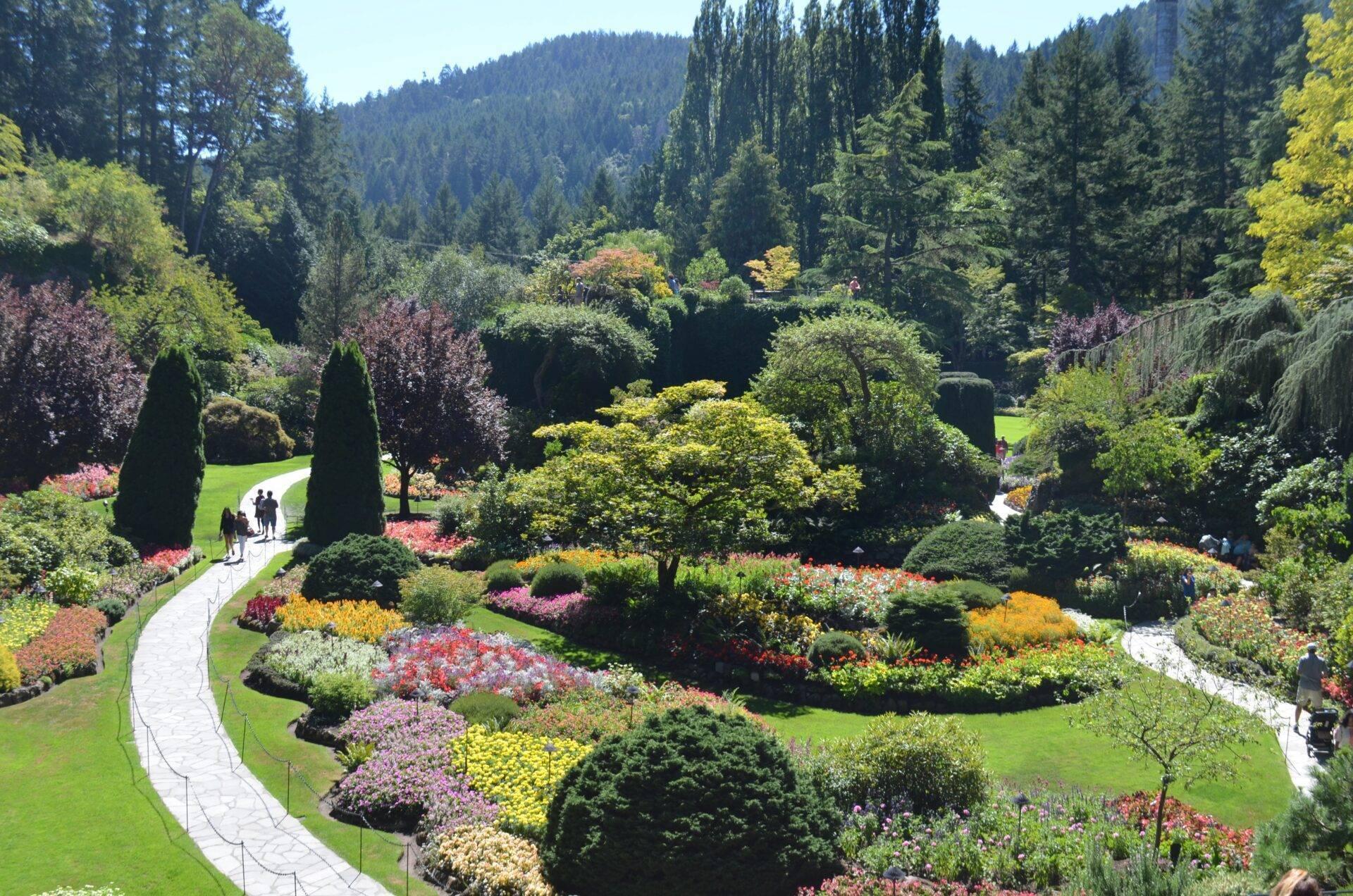 Ein hügeliges botanisches Garten mit bunten Blumenbeeten, geschwungenen Wegen und einem Nadelwald im Hintergrund