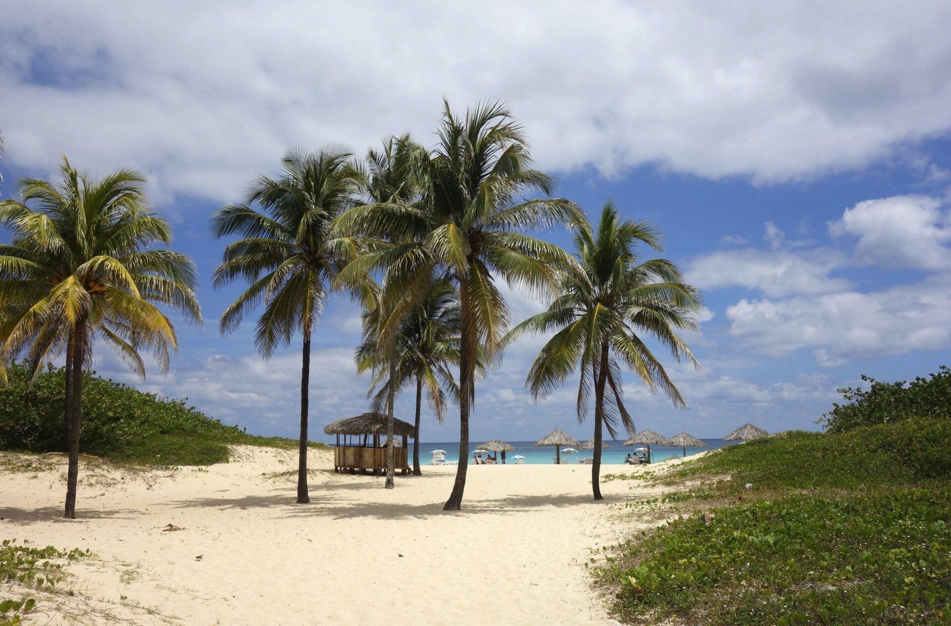 Spiaggia di sabbia bianca con palme, capanna in legno e ombrelloni di paglia di fronte al mare turchese
