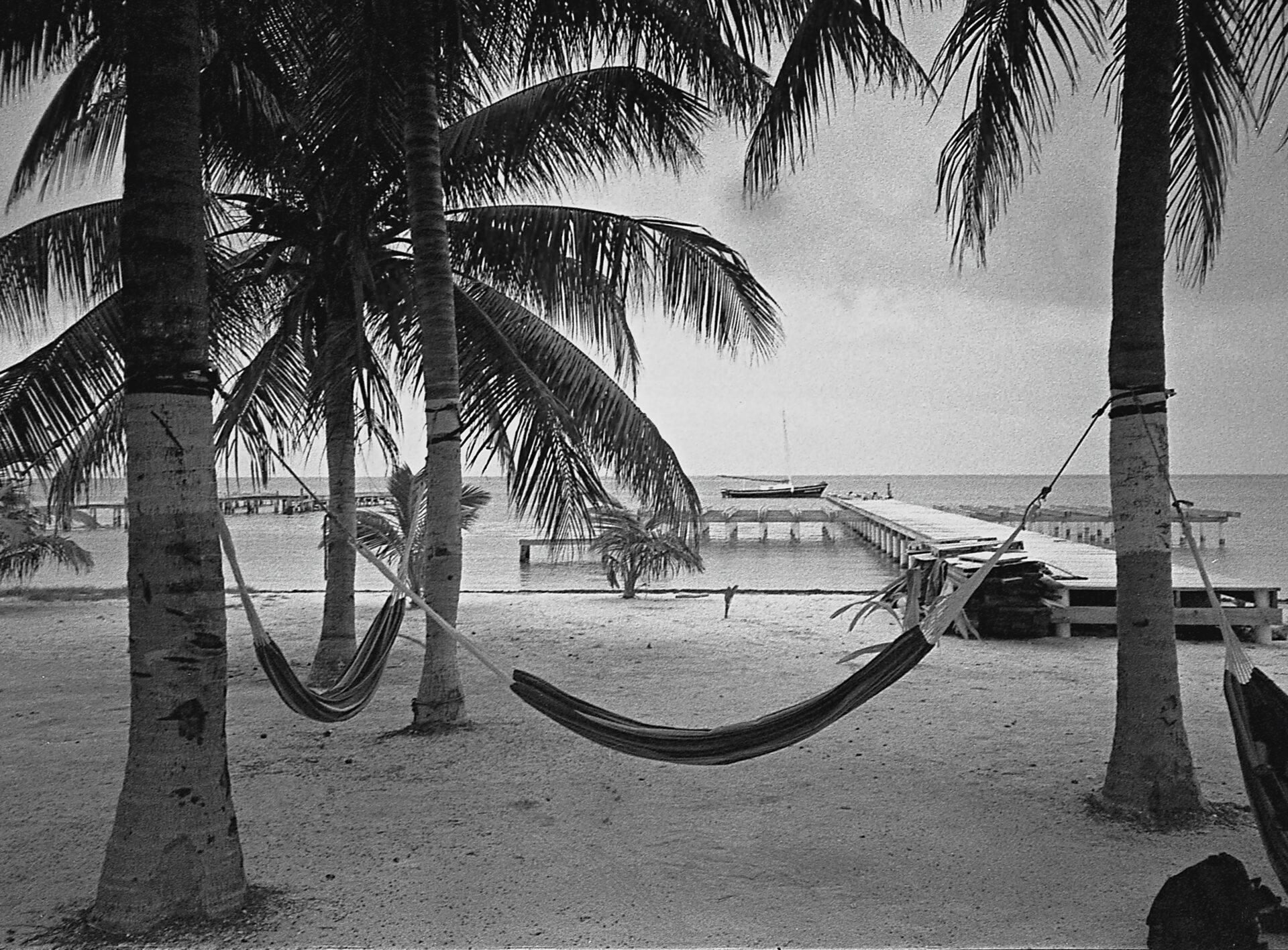 Tropical islet of Cayo Levantado with white sandy beach and palm trees in Samaná Bay