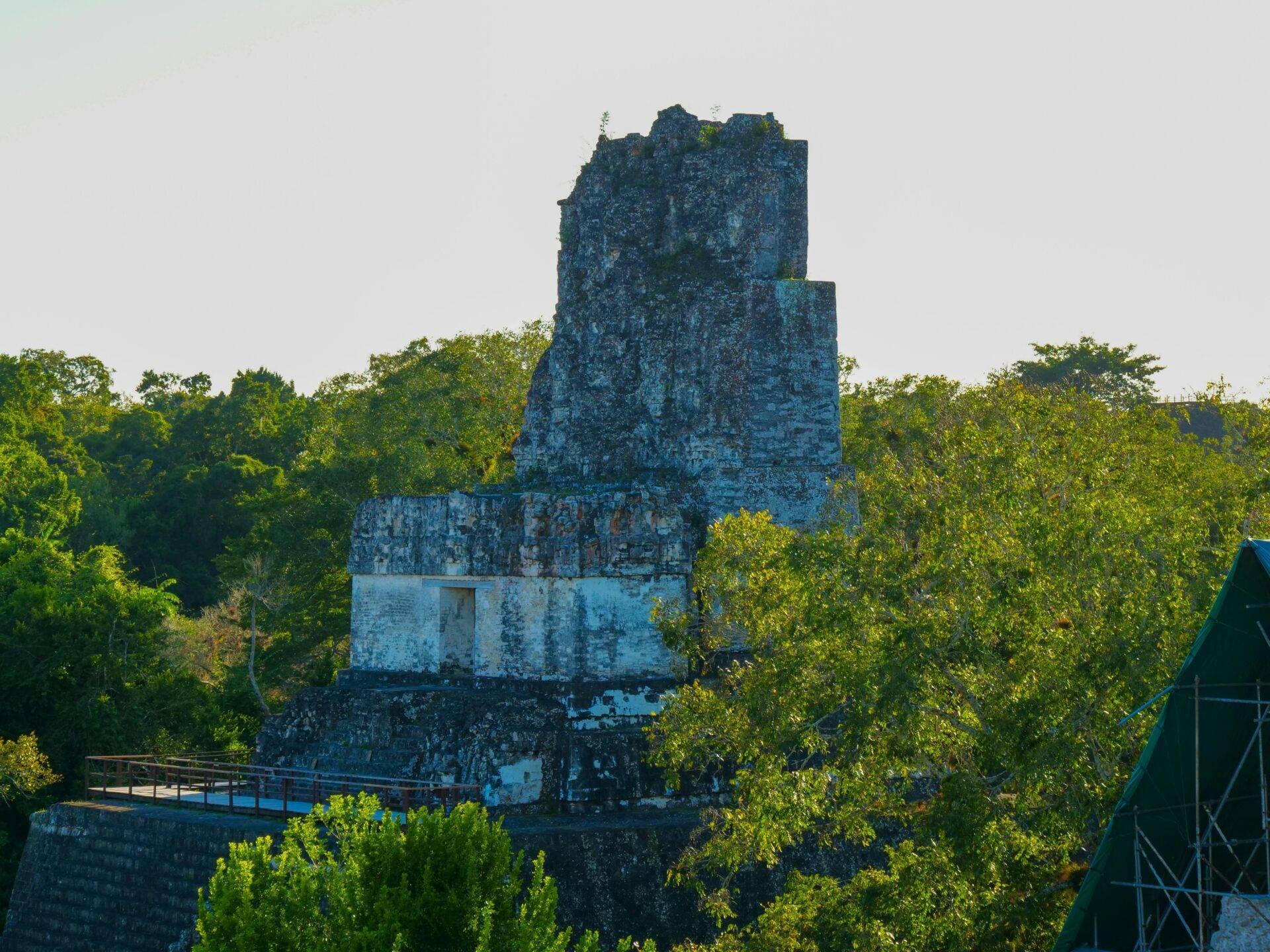 Maya-Ruinen aus weißem und grauem Stein, umgeben von üppig grüner Vegetation im tropischen Regenwald