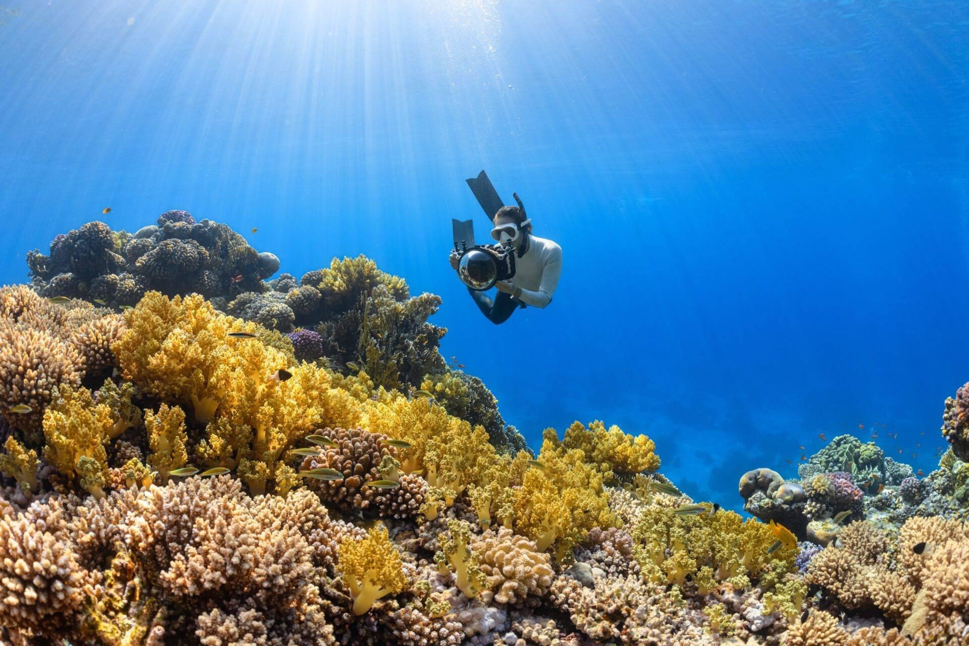 Un buceador con equipo completo fotografía un arrecife de coral multicolor bajo el agua cristalina