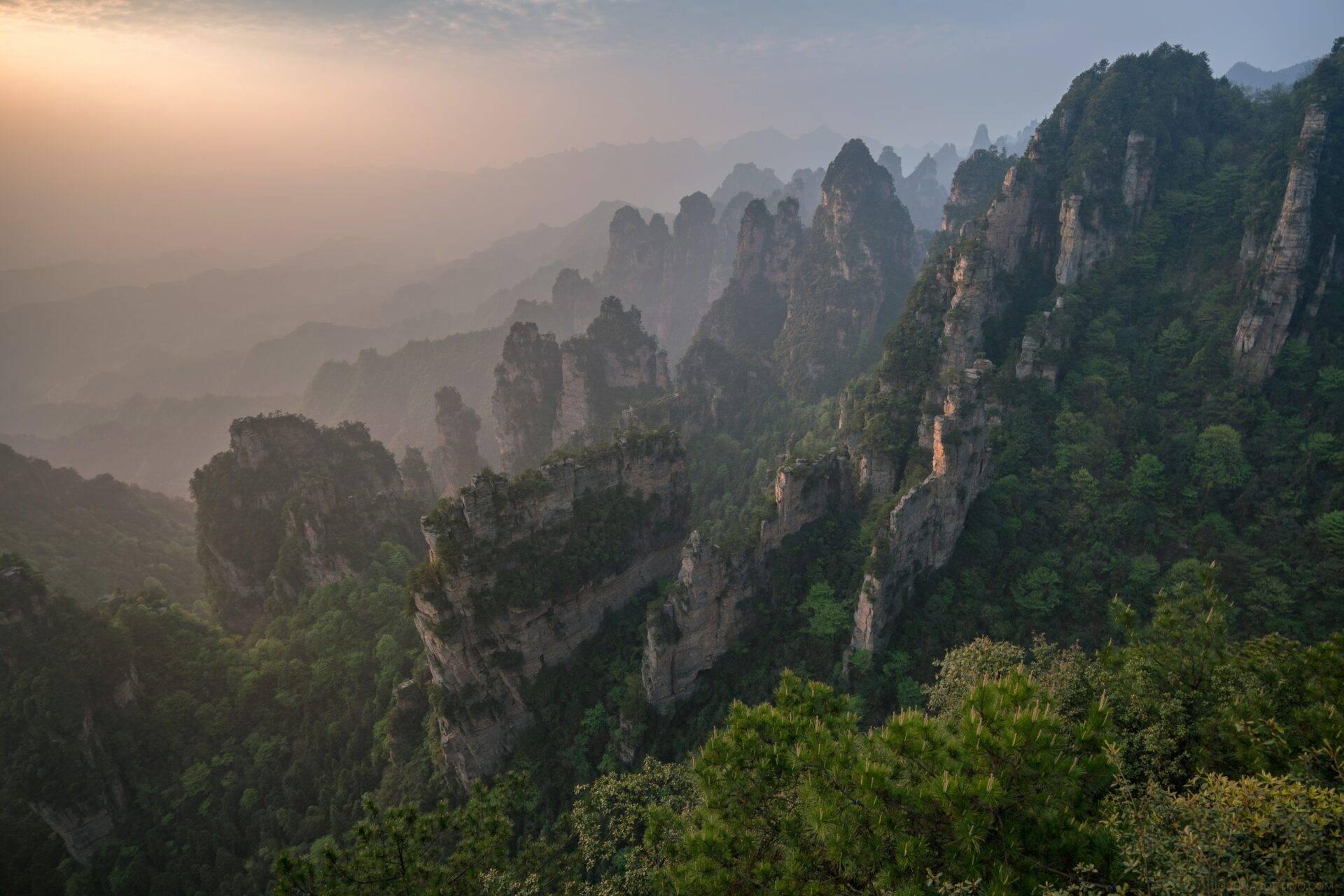Maestose formazioni rocciose calcaree che si innalzano nella nebbia, ricoperte di vegetazione lussureggiante