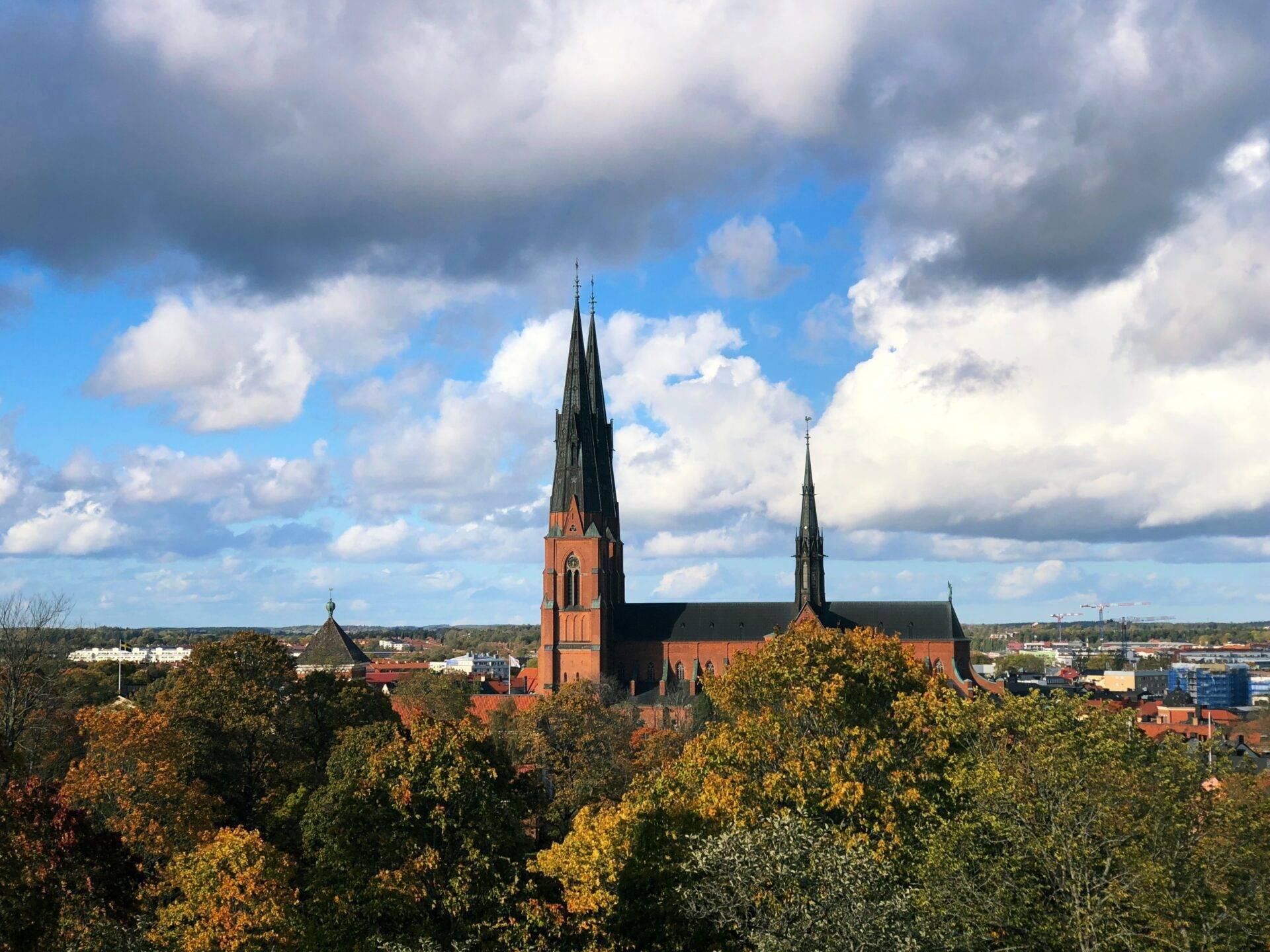 Eine Backsteinkirche mit zwei spitzen Türmen, die eine von Herbstwäldern umgebene Stadtlandschaft überragt