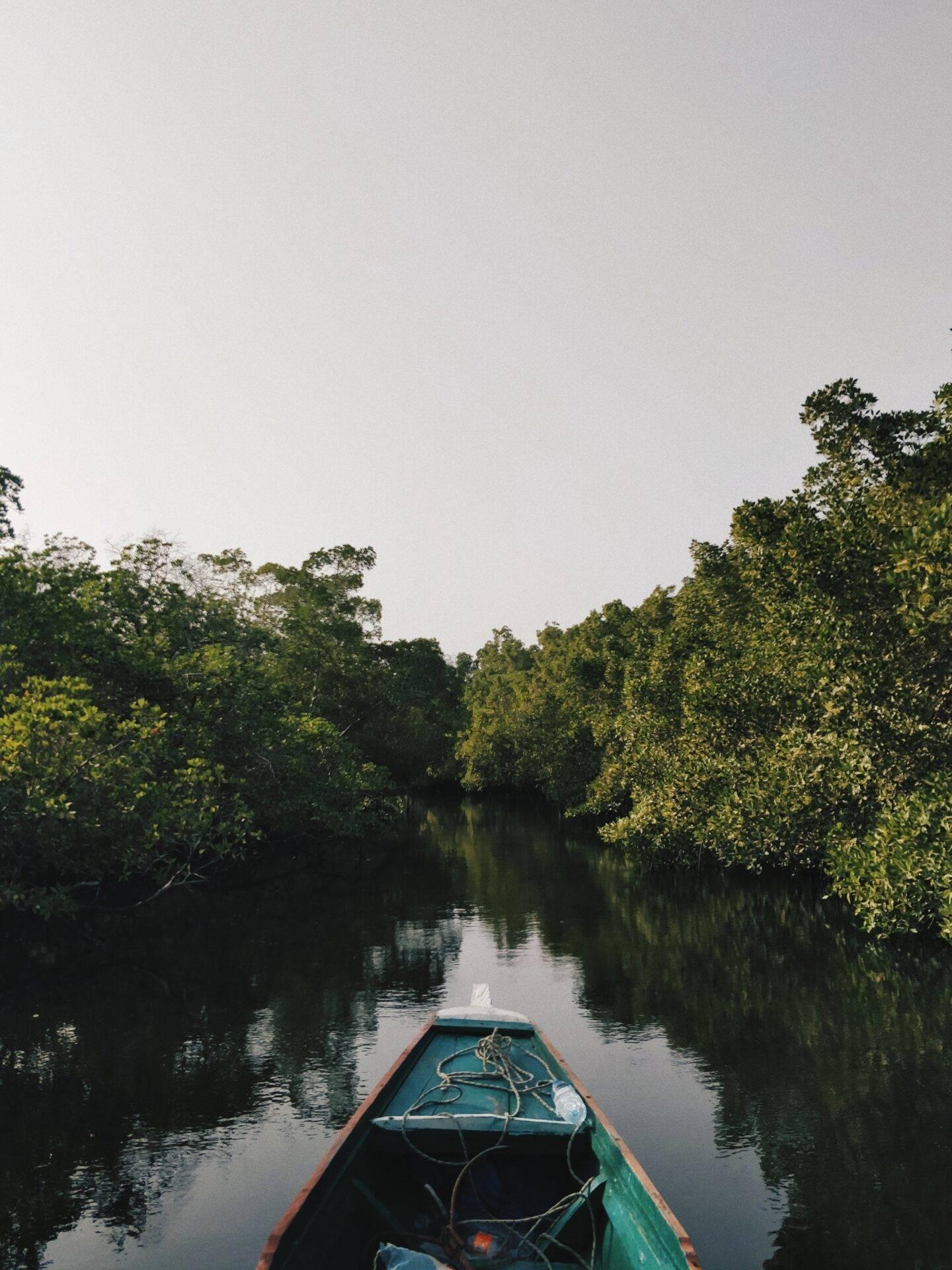 Senegal delta del Siné-Saloum