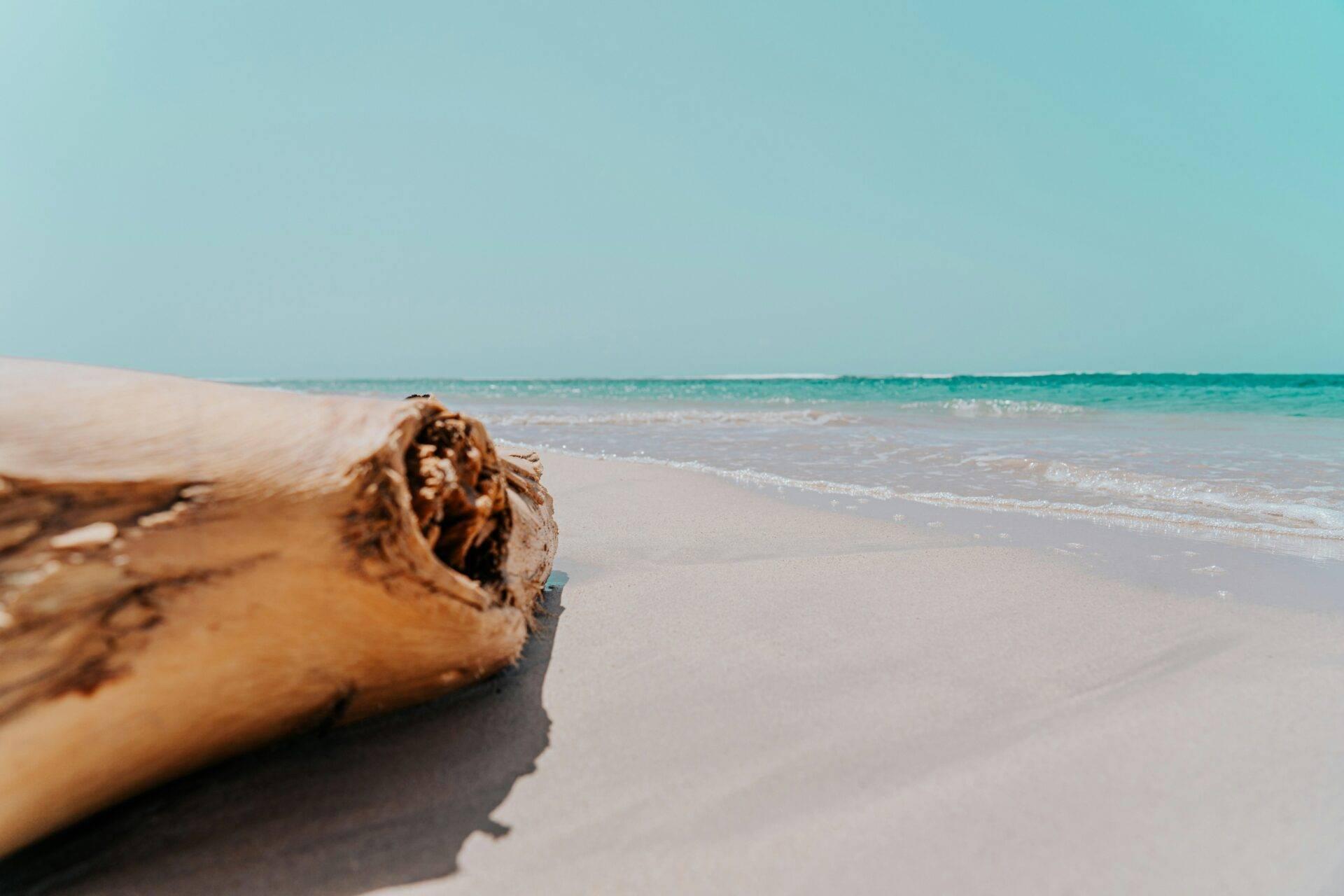 Golden sand beach at Juan Dolio with sun loungers shaded by palms facing the Caribbean Sea