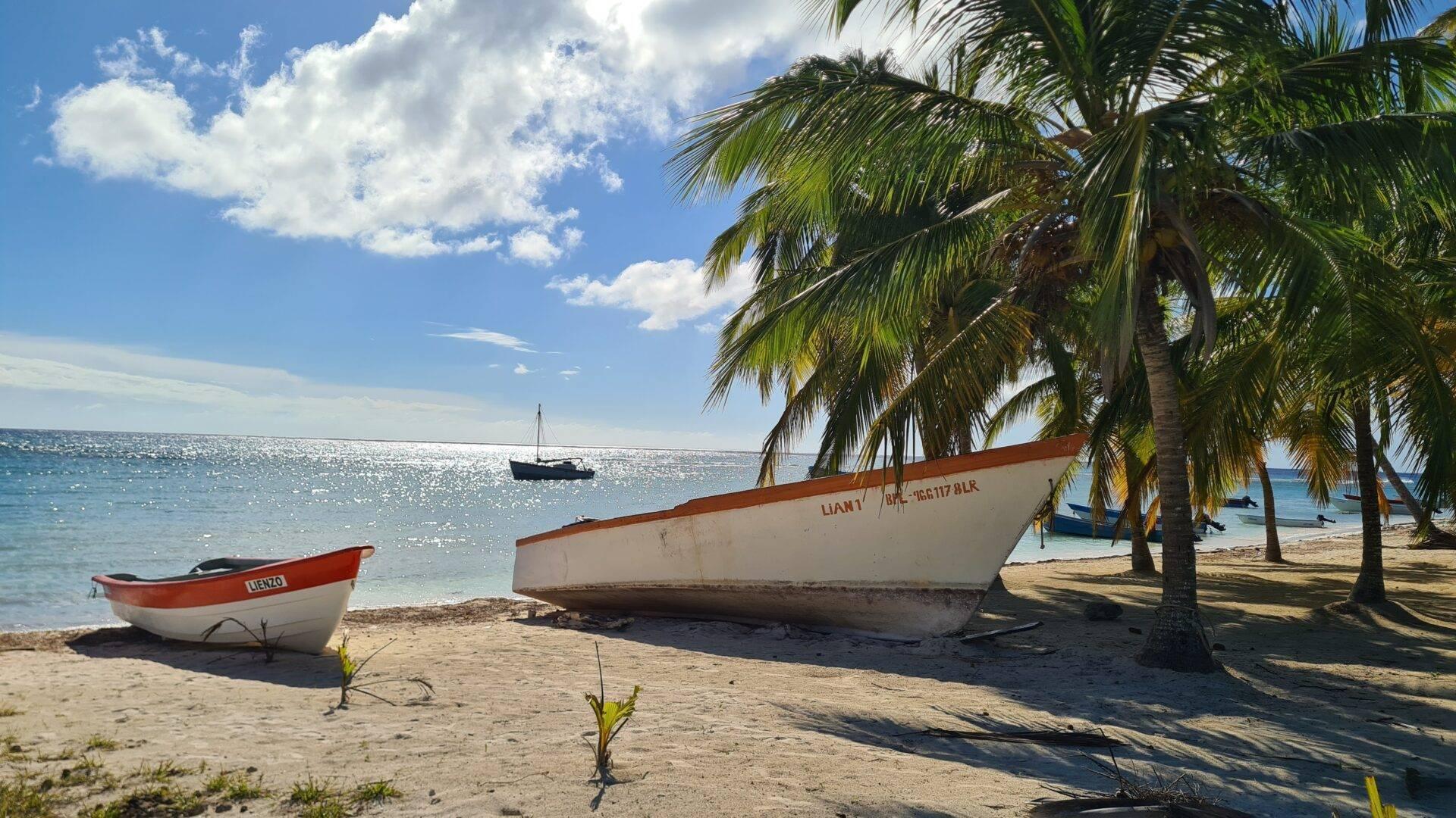 Idyllic beach on Saona Island with palm trees, white sand and shallow turquoise waters