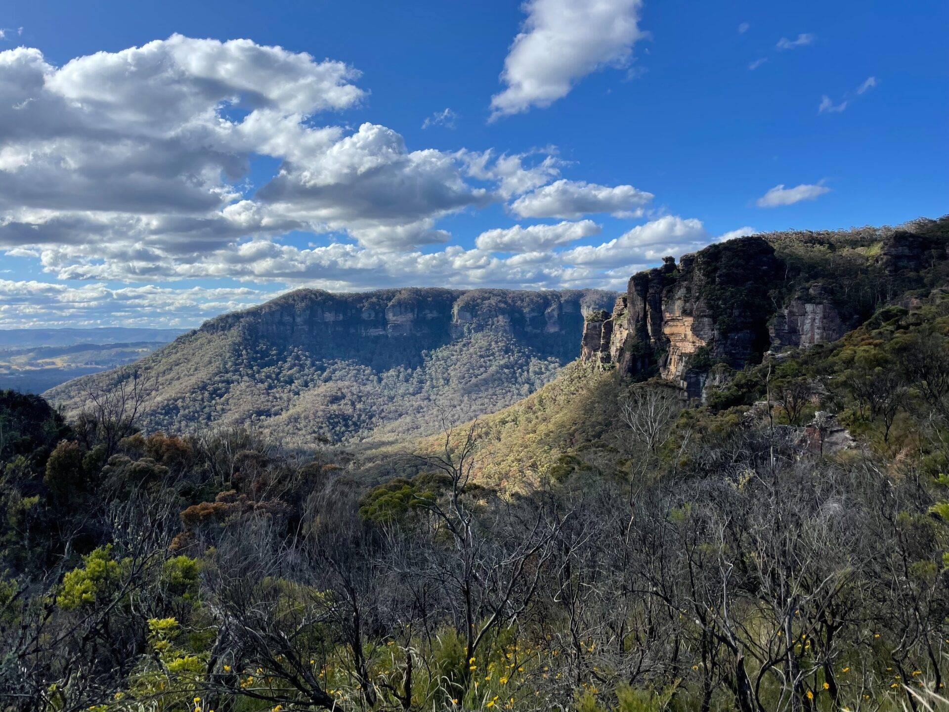 Vista panoramica di una valle incassata con scogliere rocciose maestose, coperta da fitta vegetazione sotto un cielo azzurro terso
