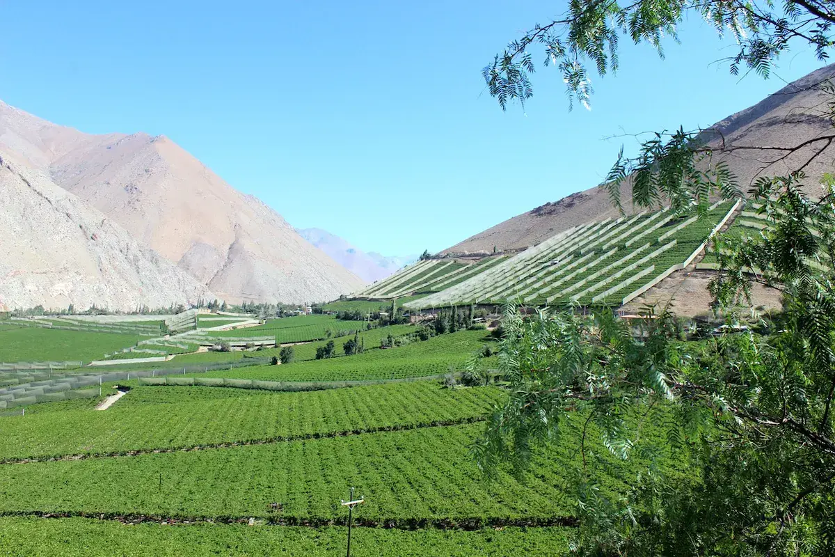 Valle agrícola verde al pie de estribaciones montañosas áridas bajo un cielo azul despejado