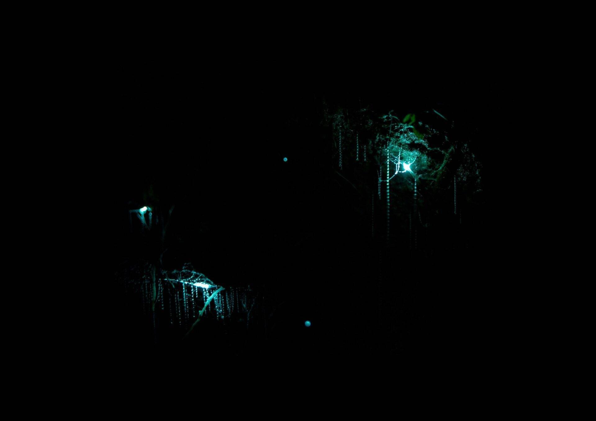 Grotta sotterranea illuminata da bioluminescenze blu-verdi e stalattiti brillanti nell’oscurità
