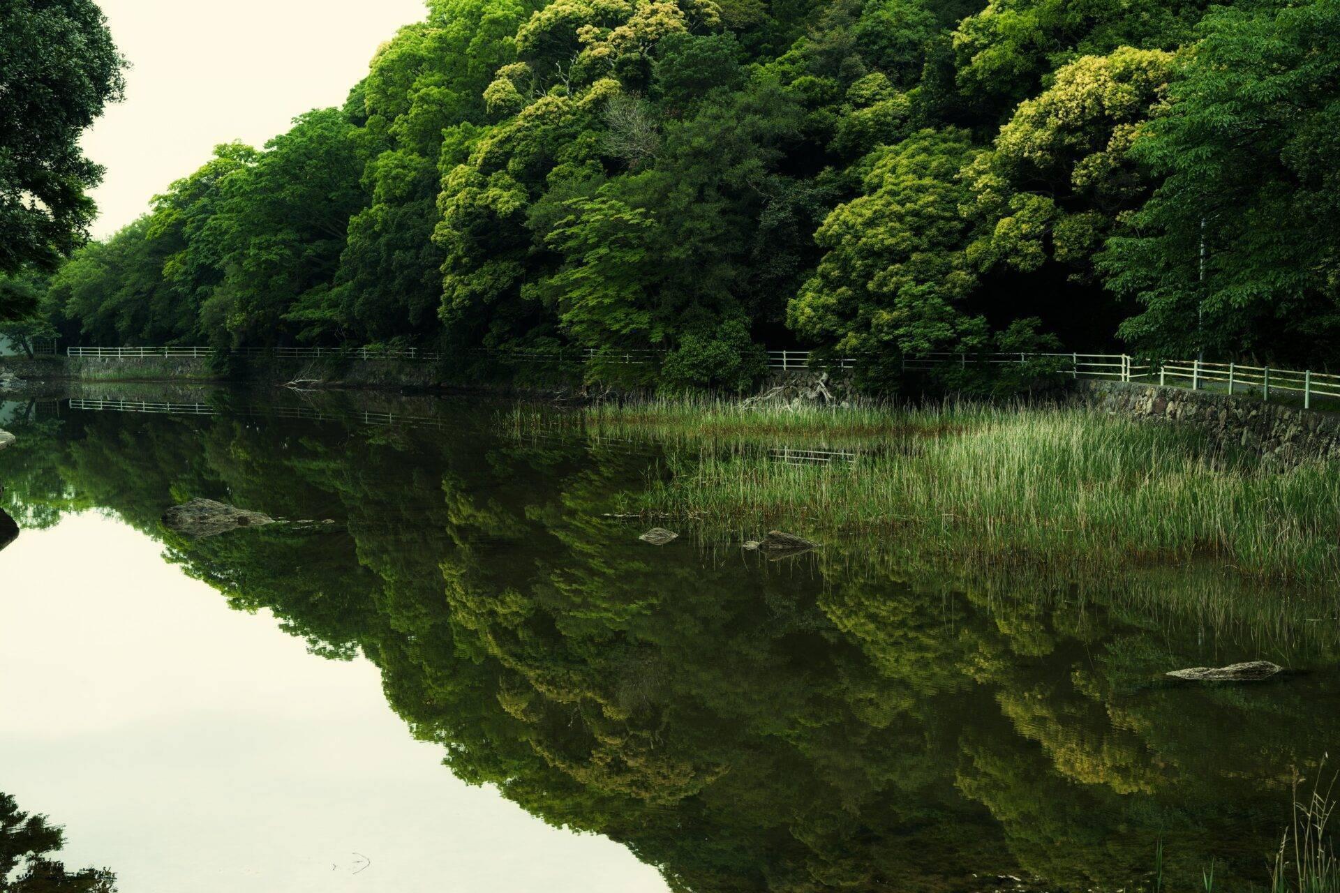 Eine ruhige Naturlandschaft mit einem Spiegelsee, umgeben von dichten Wäldern und weißen Zäunen
