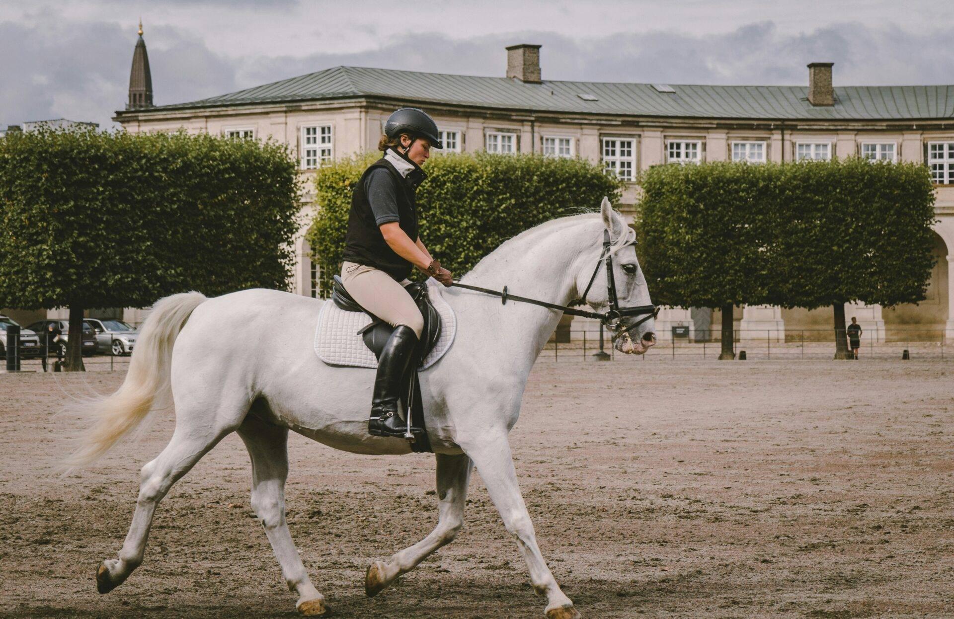Una cavallerizza in tenuta da equitazione su un cavallo bianco in un cortile lastricato di fronte a un elegante edificio storico