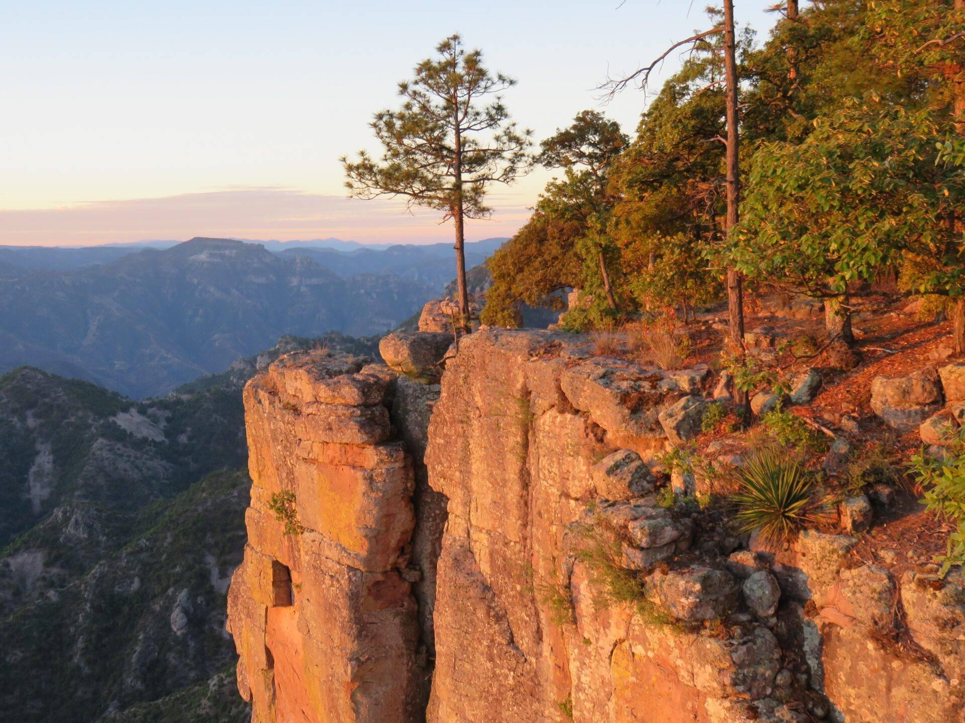 Goldene Felsformationen im Sonnenuntergang mit bewaldeter Schlucht und Bergen im Hintergrund